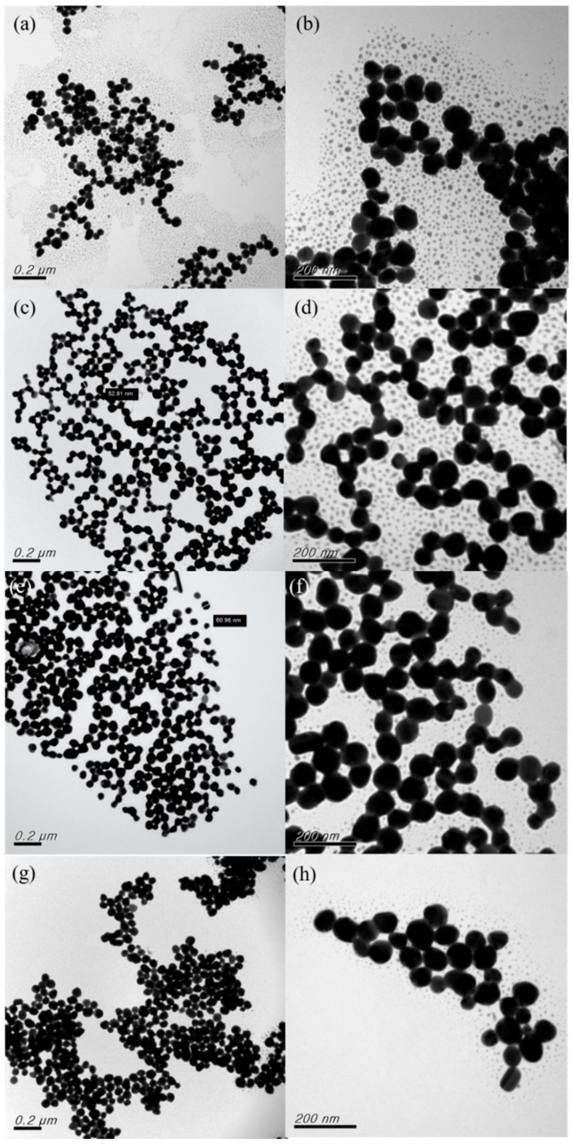 Nanomaterials 12 00171 g009
