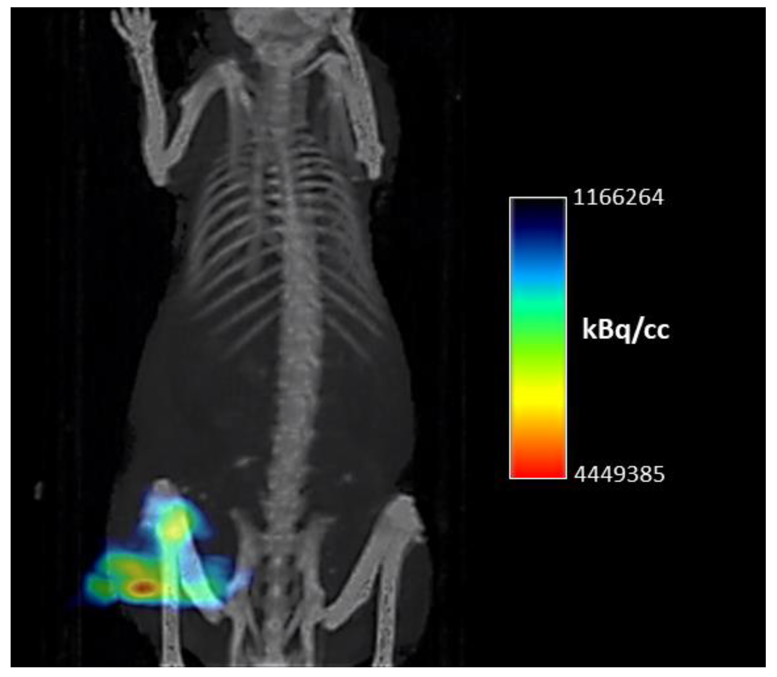Nanomaterials 12 00187 g006