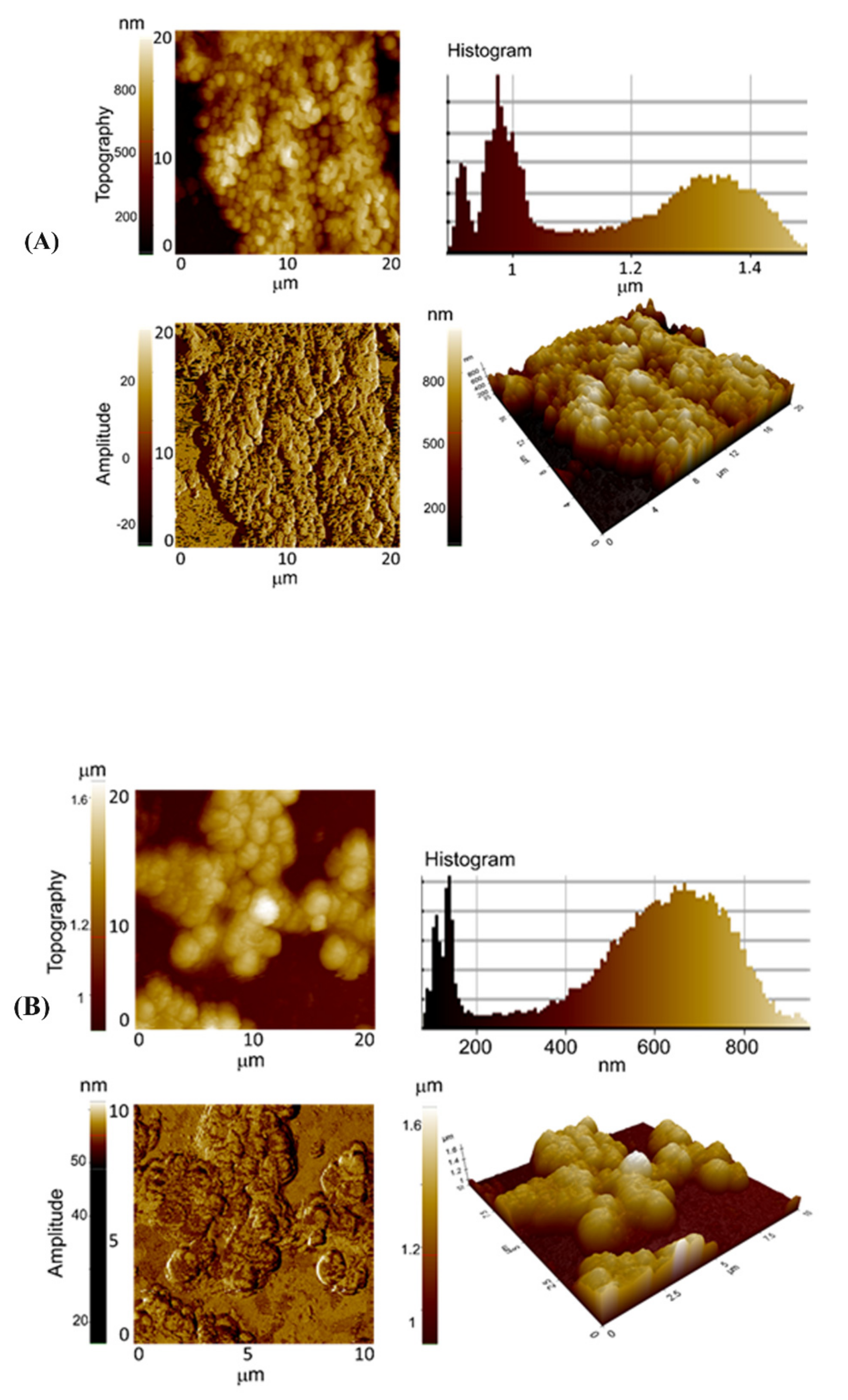 Nanomaterials 12 00191 g009