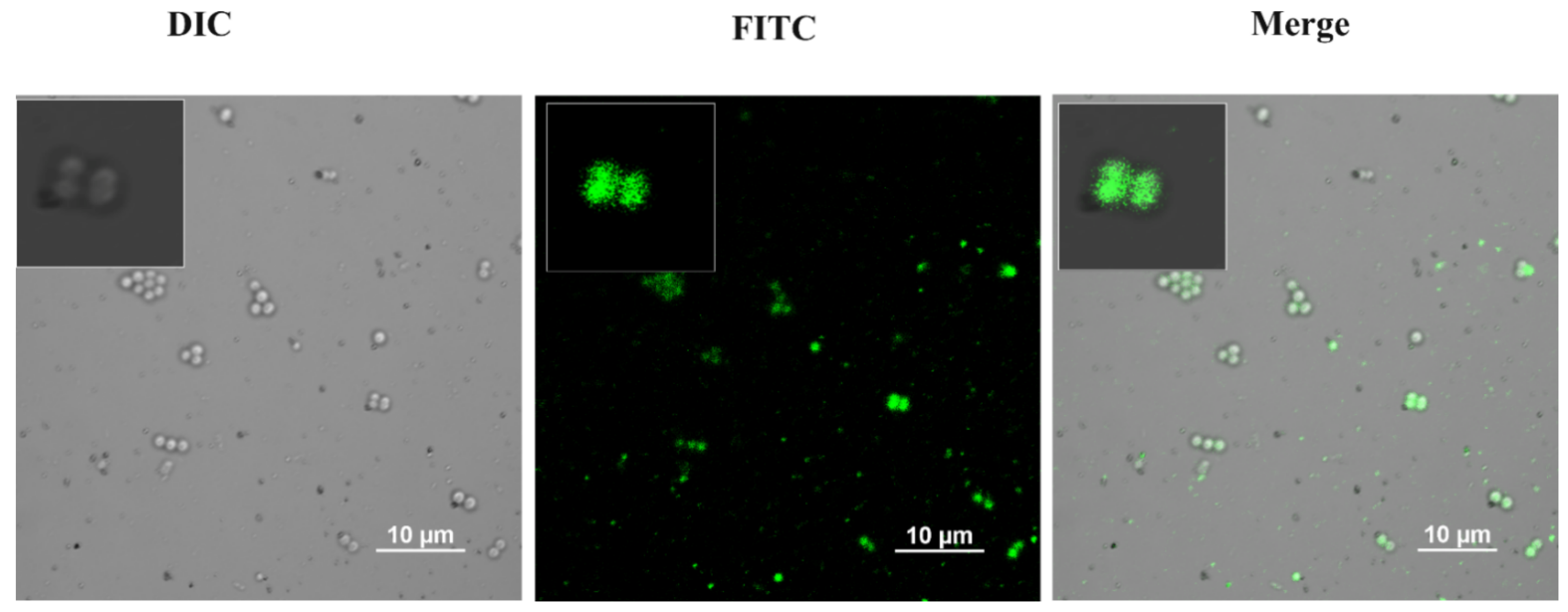 Nanomaterials 12 00191 g010
