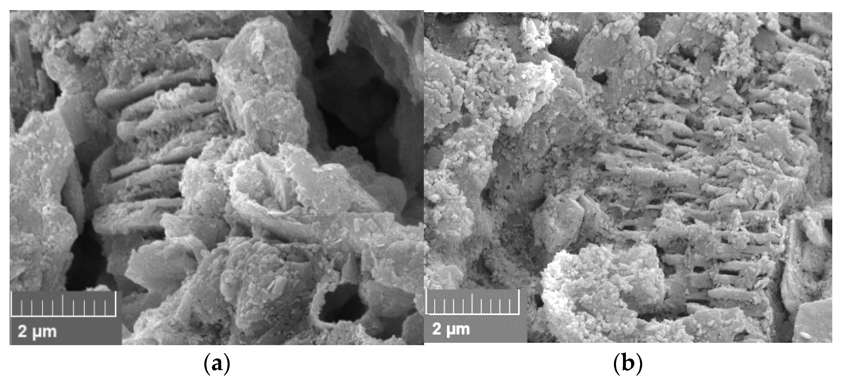 Nanomaterials 12 00200 g021