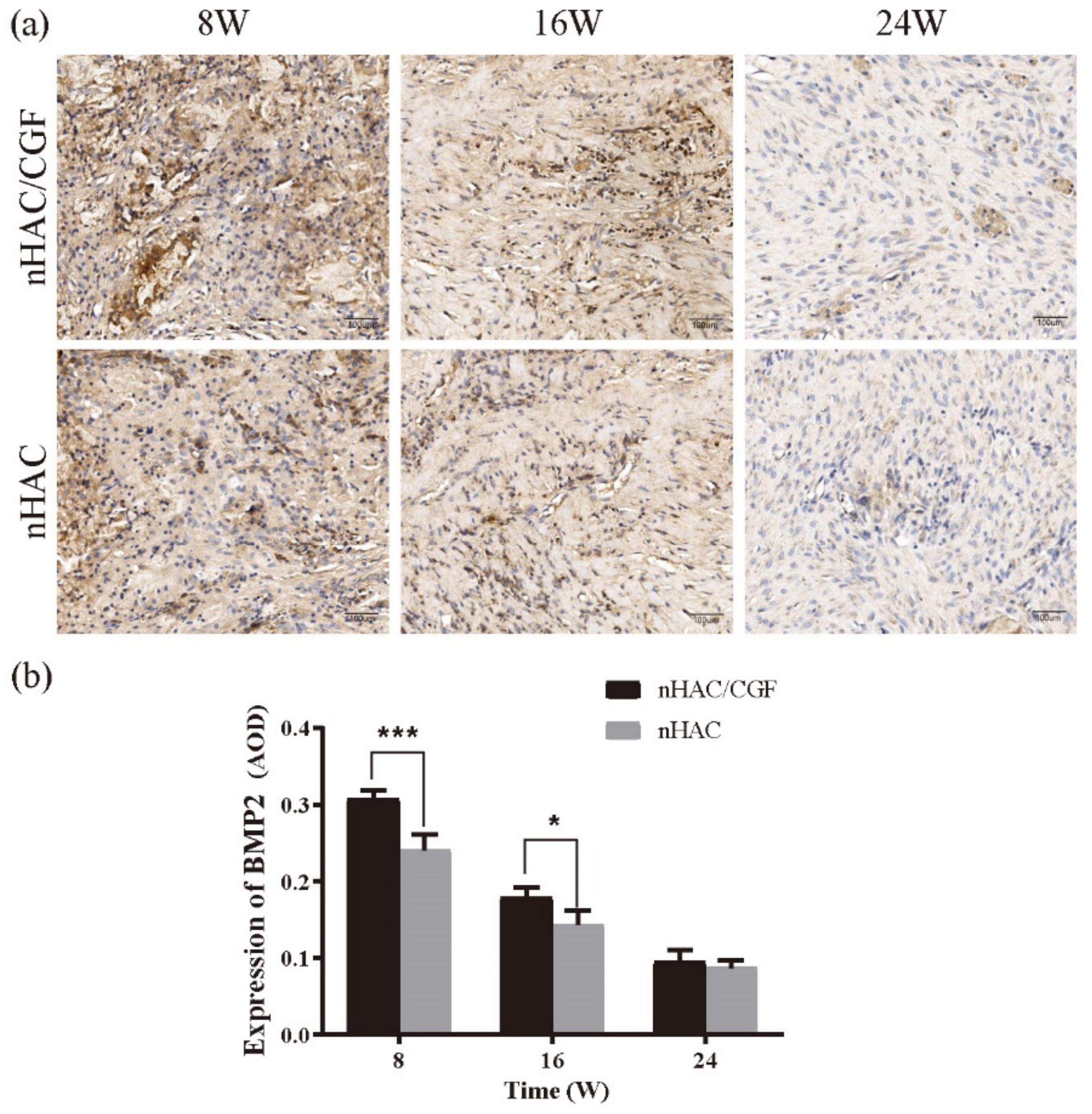 Nanomaterials 12 00212 g009