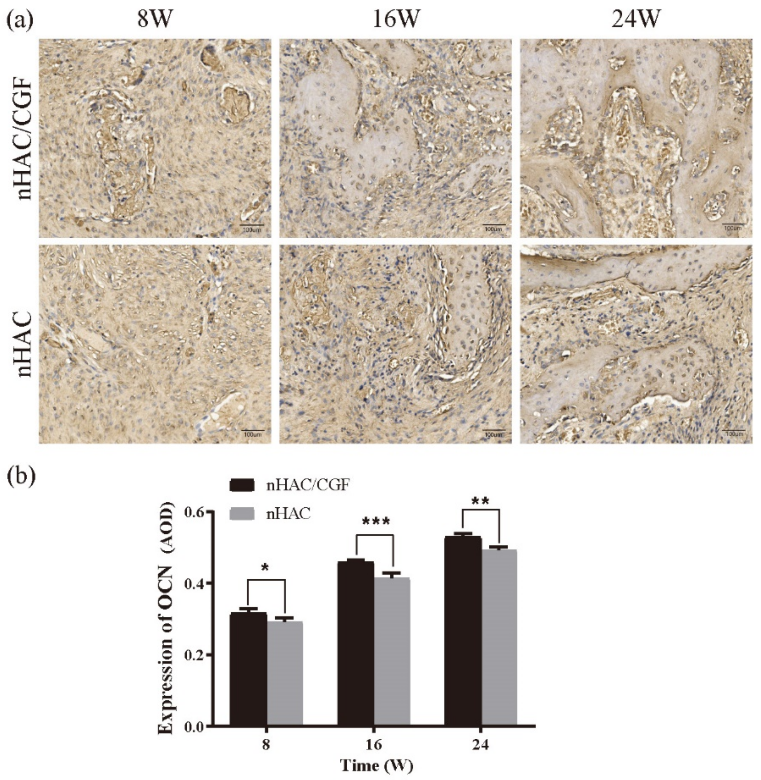 Nanomaterials 12 00212 g010