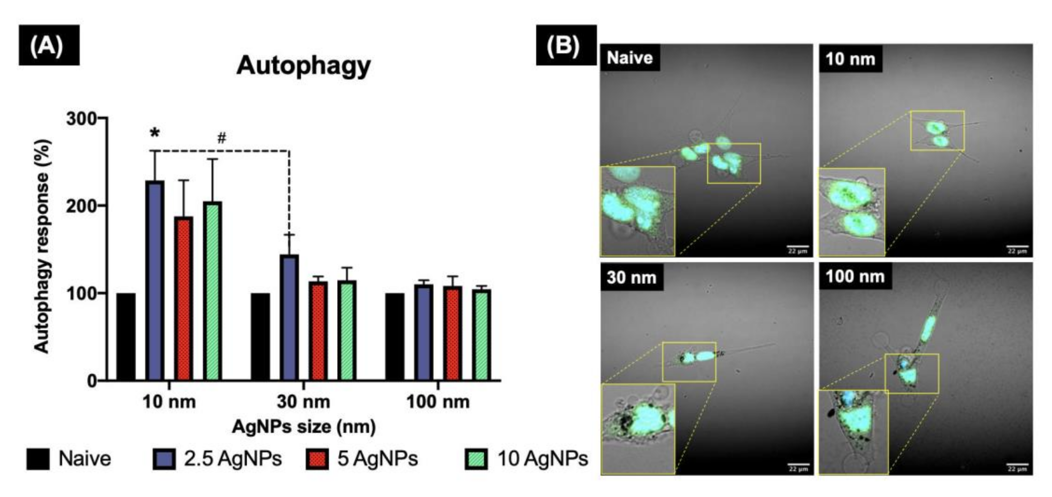 Nanomaterials 12 00225 g002