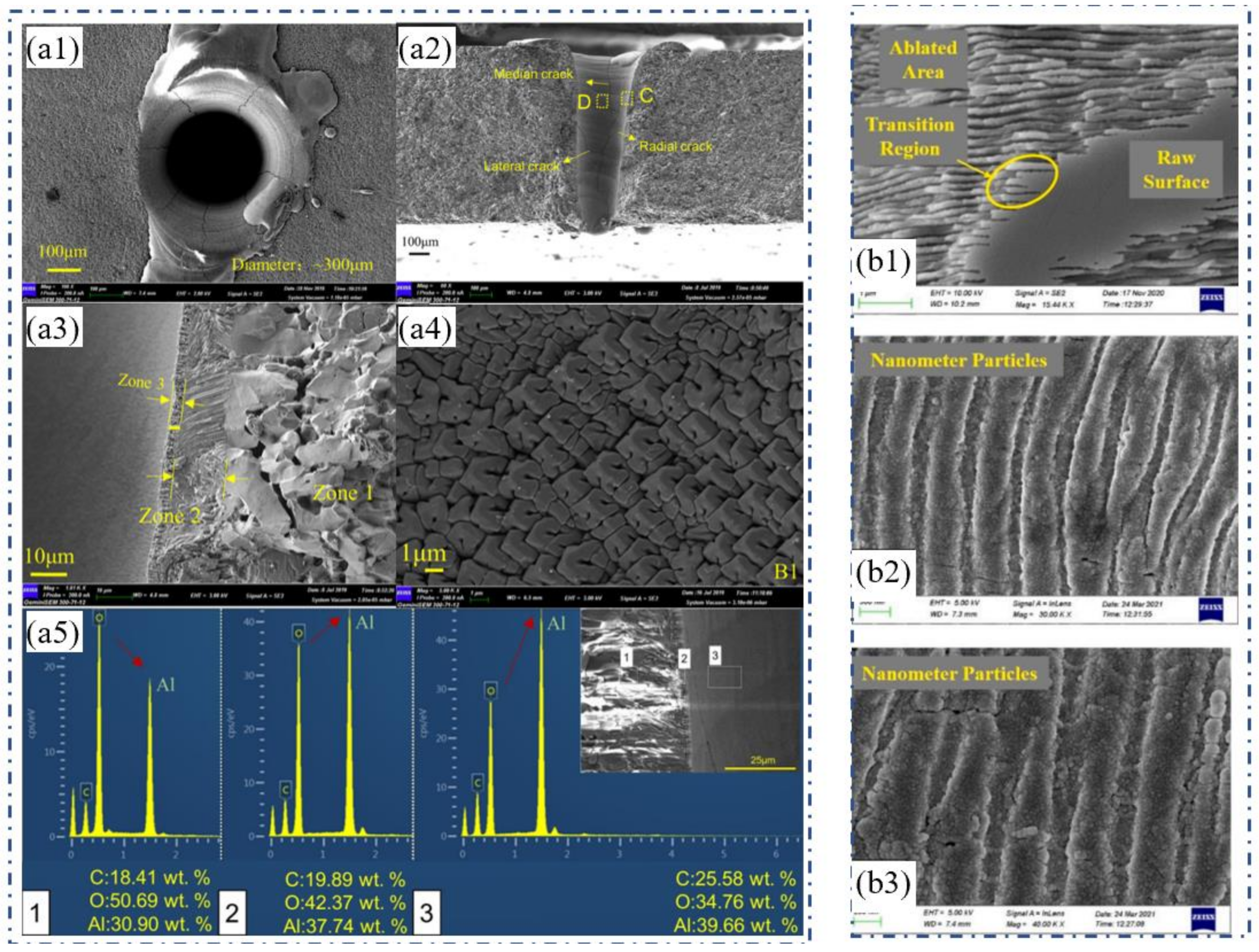 Nanomaterials 12 00230 g001