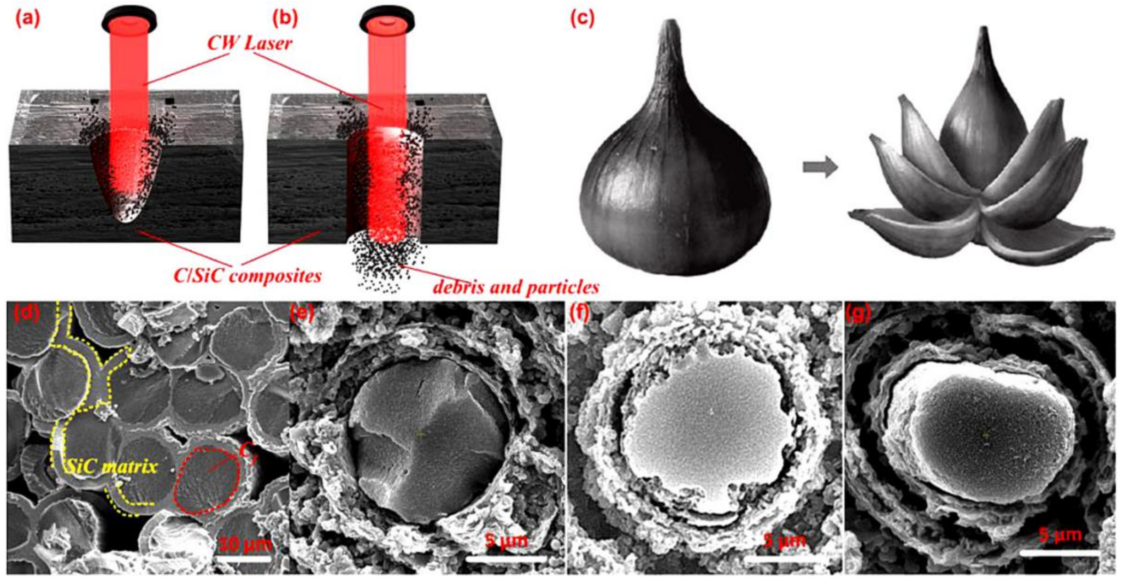 Nanomaterials 12 00230 g011