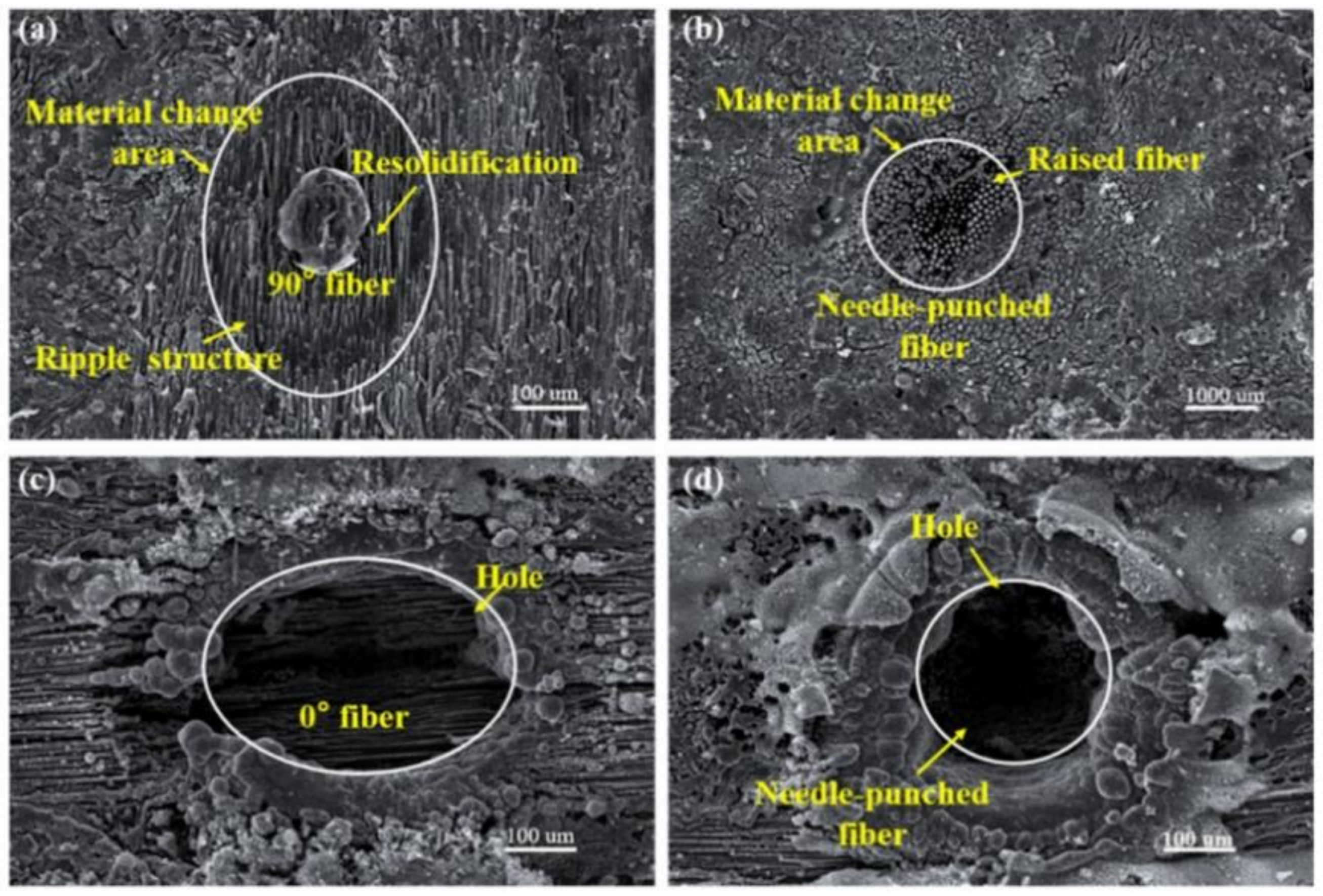 Nanomaterials 12 00230 g013