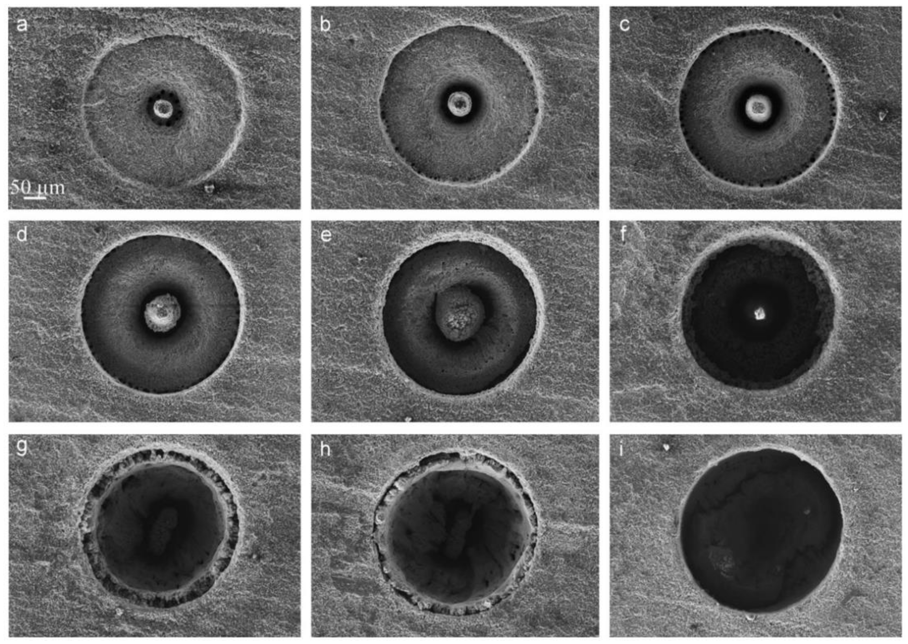 Nanomaterials 12 00230 g021