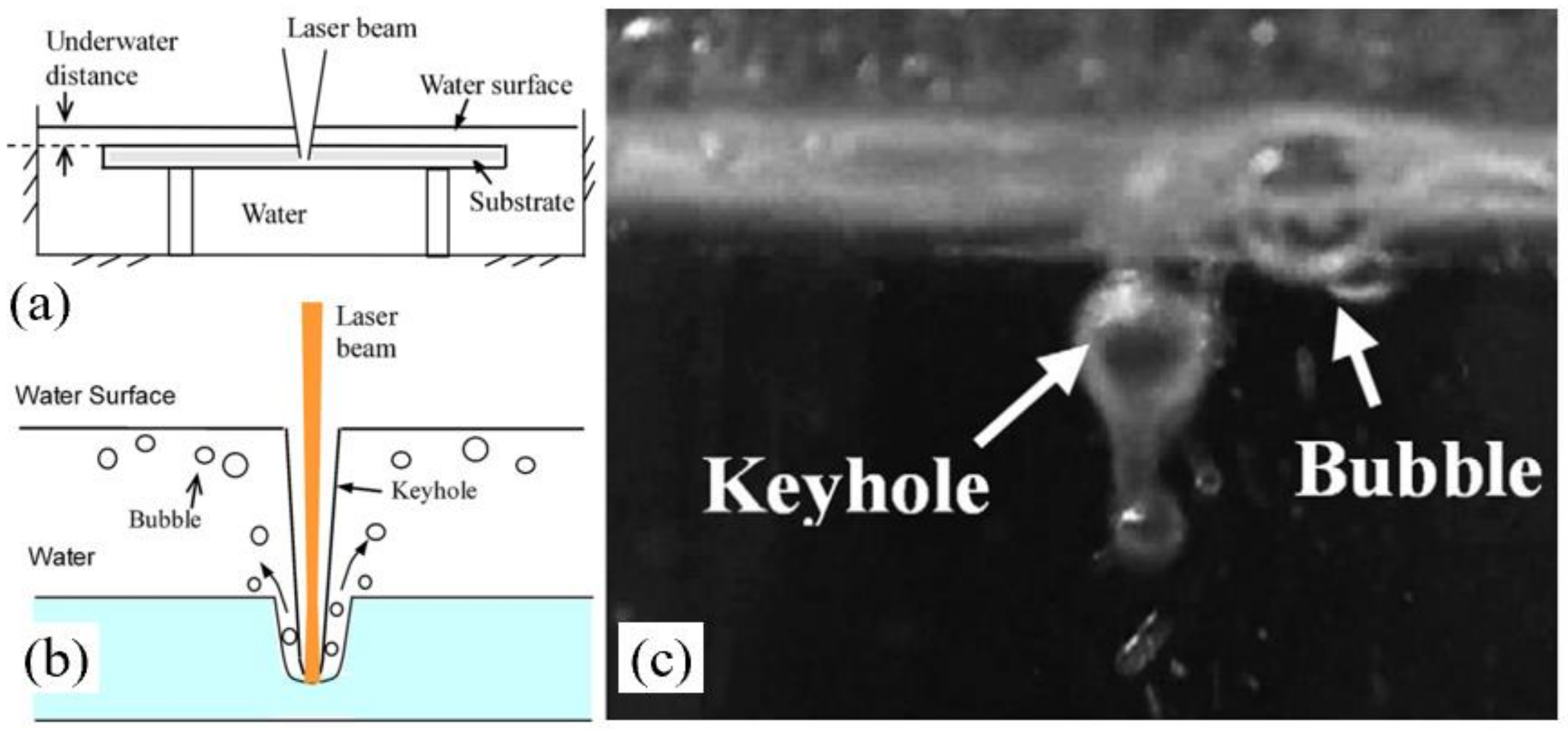 Nanomaterials 12 00230 g023