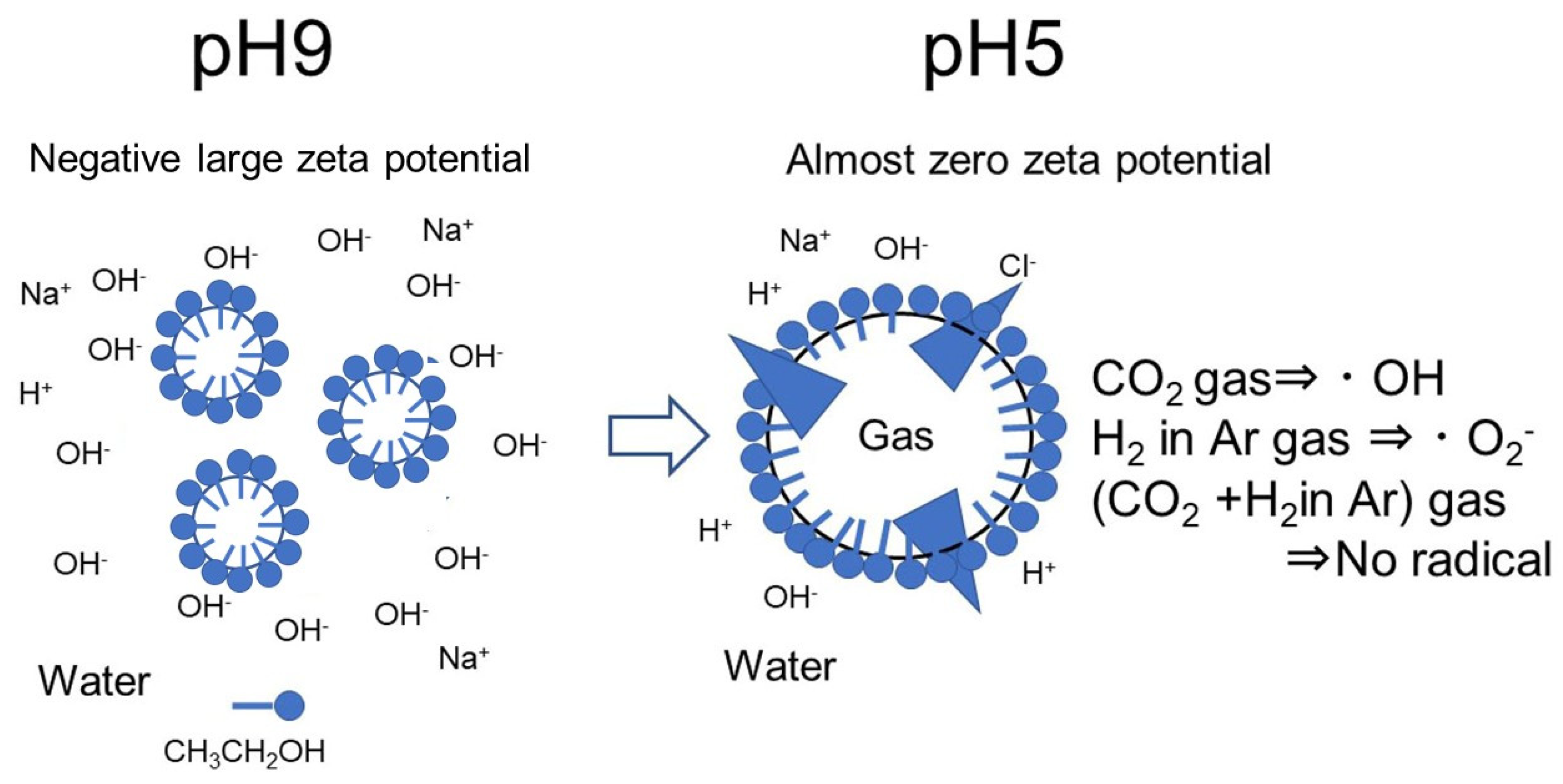 Nanomaterials 12 00237 g010