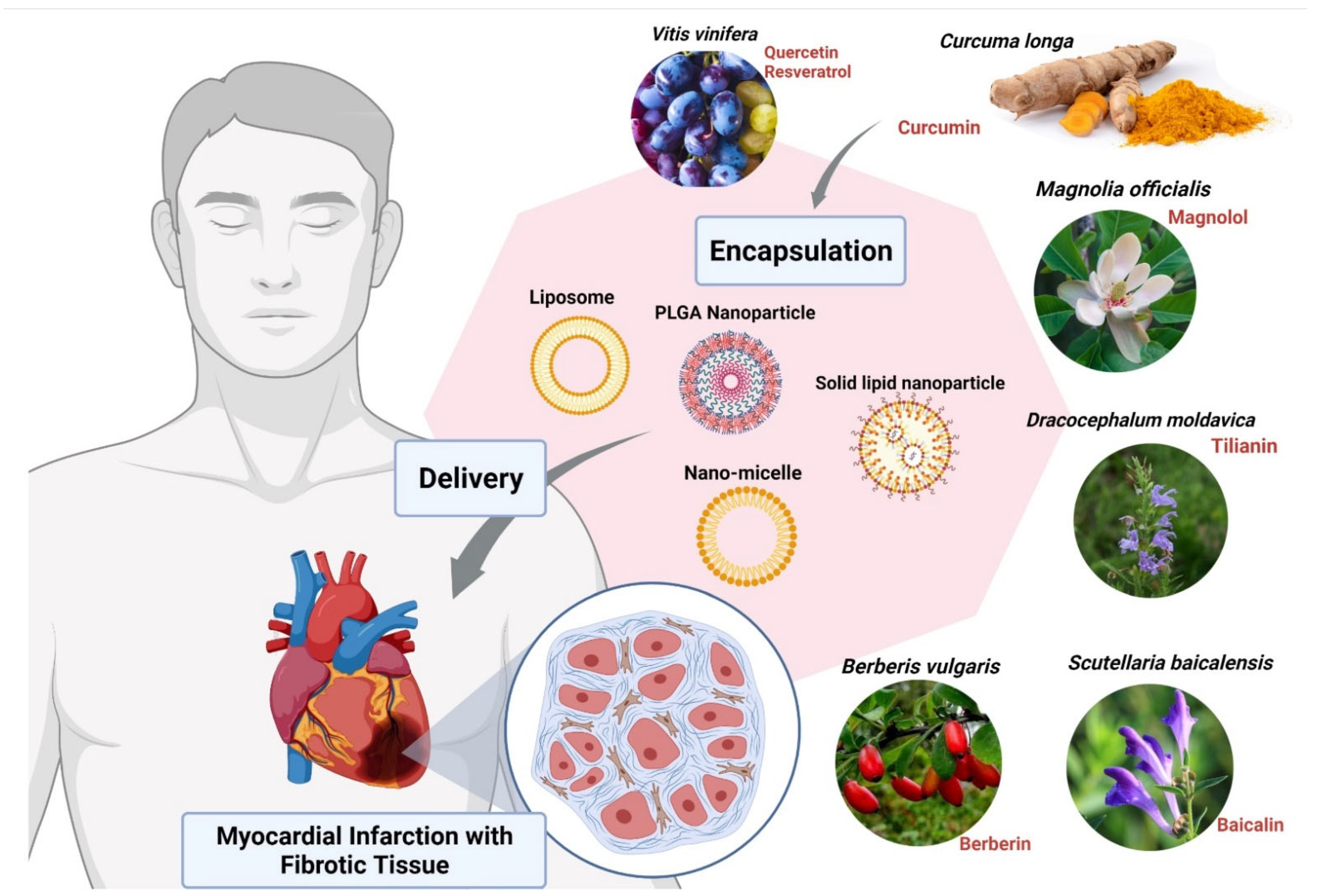 Nanomaterials 12 00238 g003