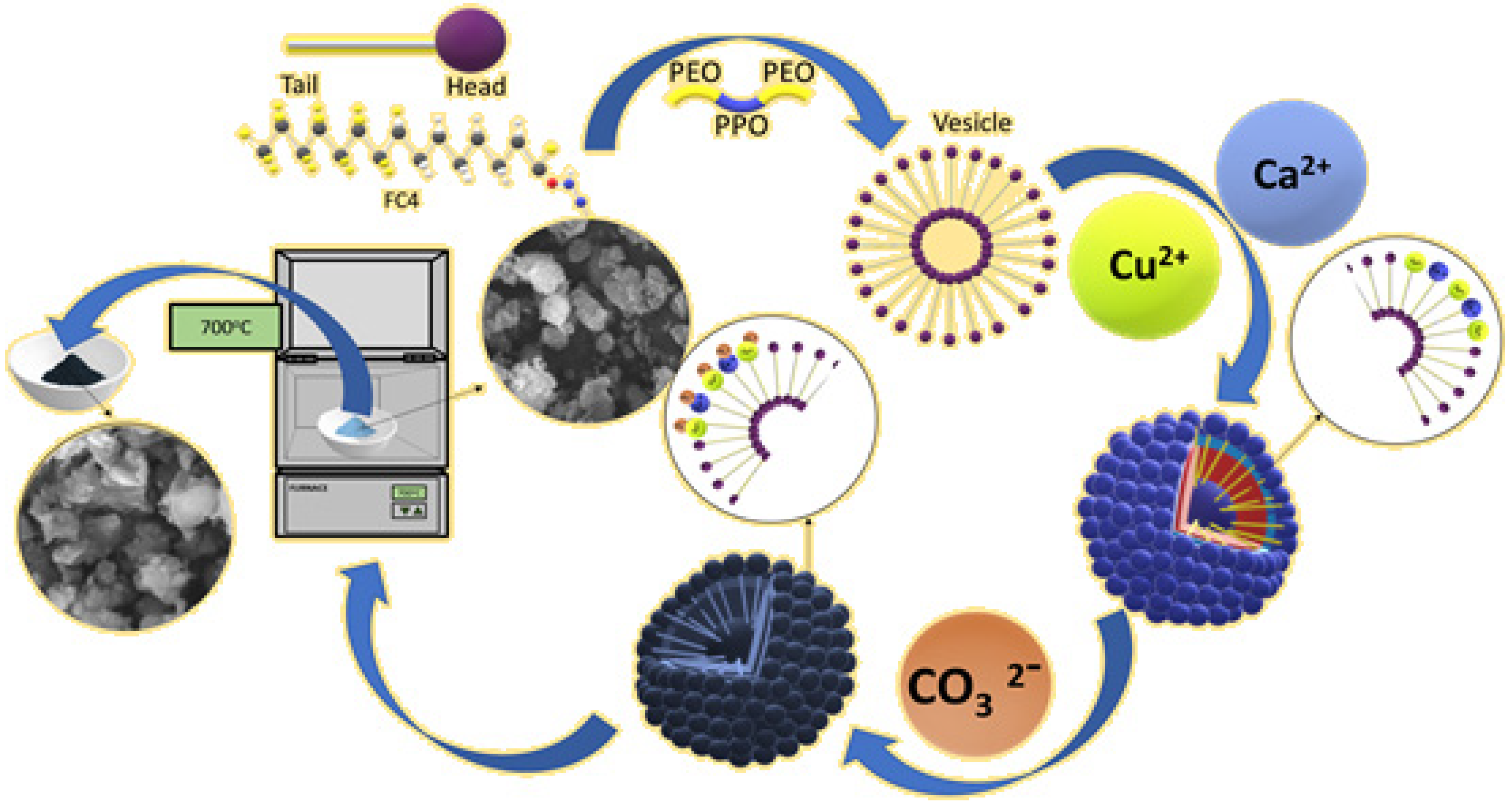 Nanomaterials 12 00245 g001