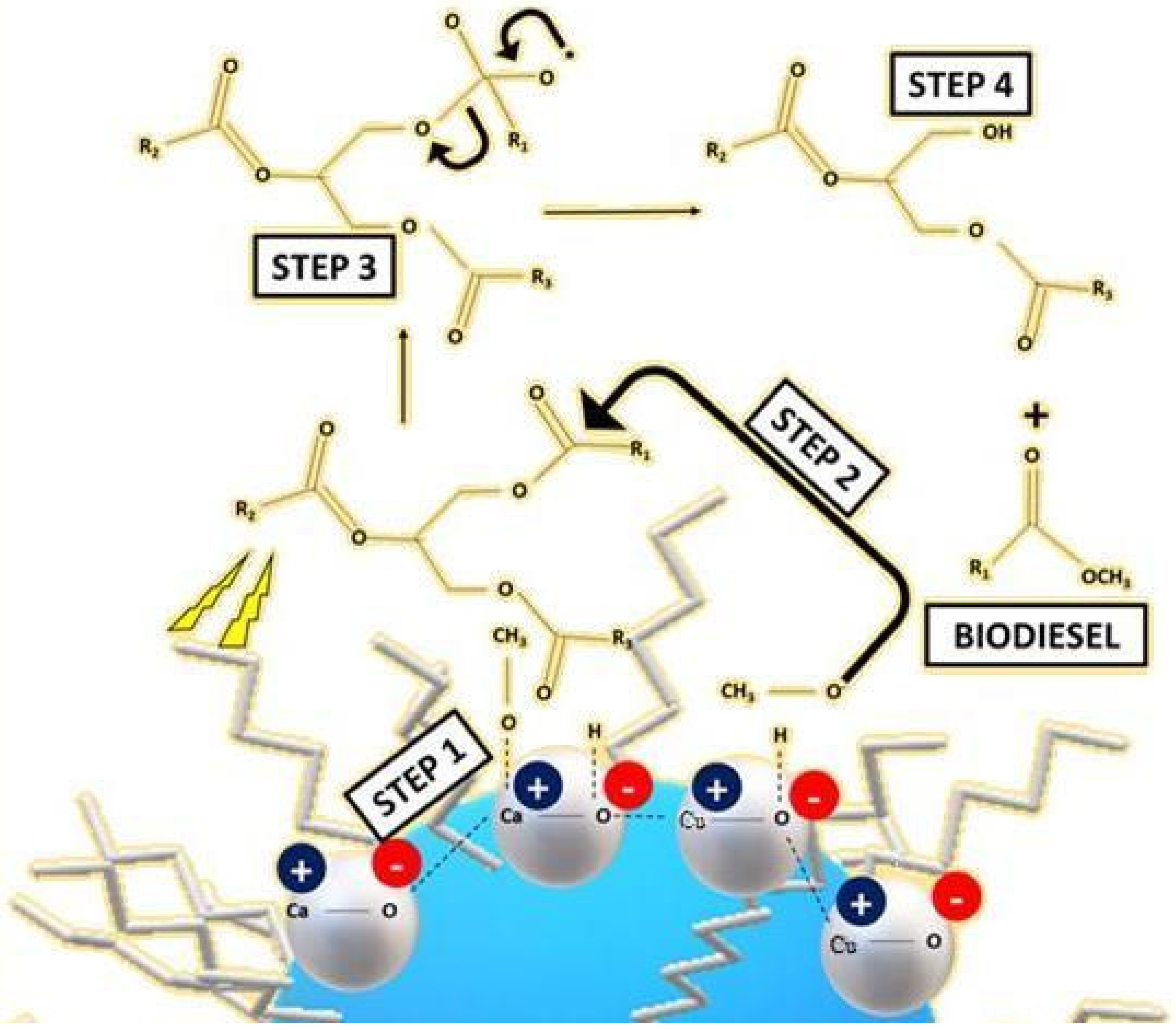 Nanomaterials 12 00245 g007