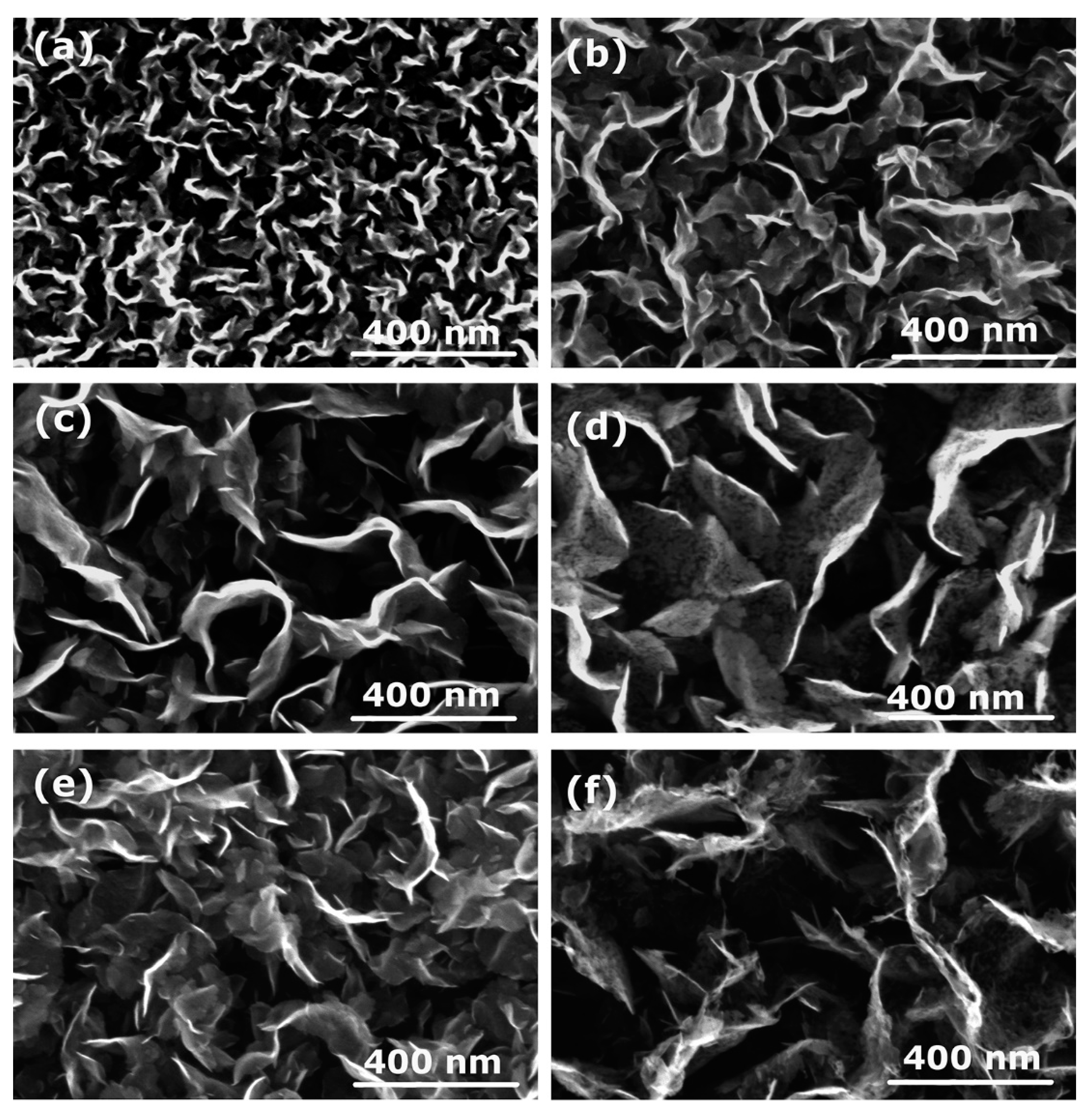 Nanomaterials 12 00246 g002