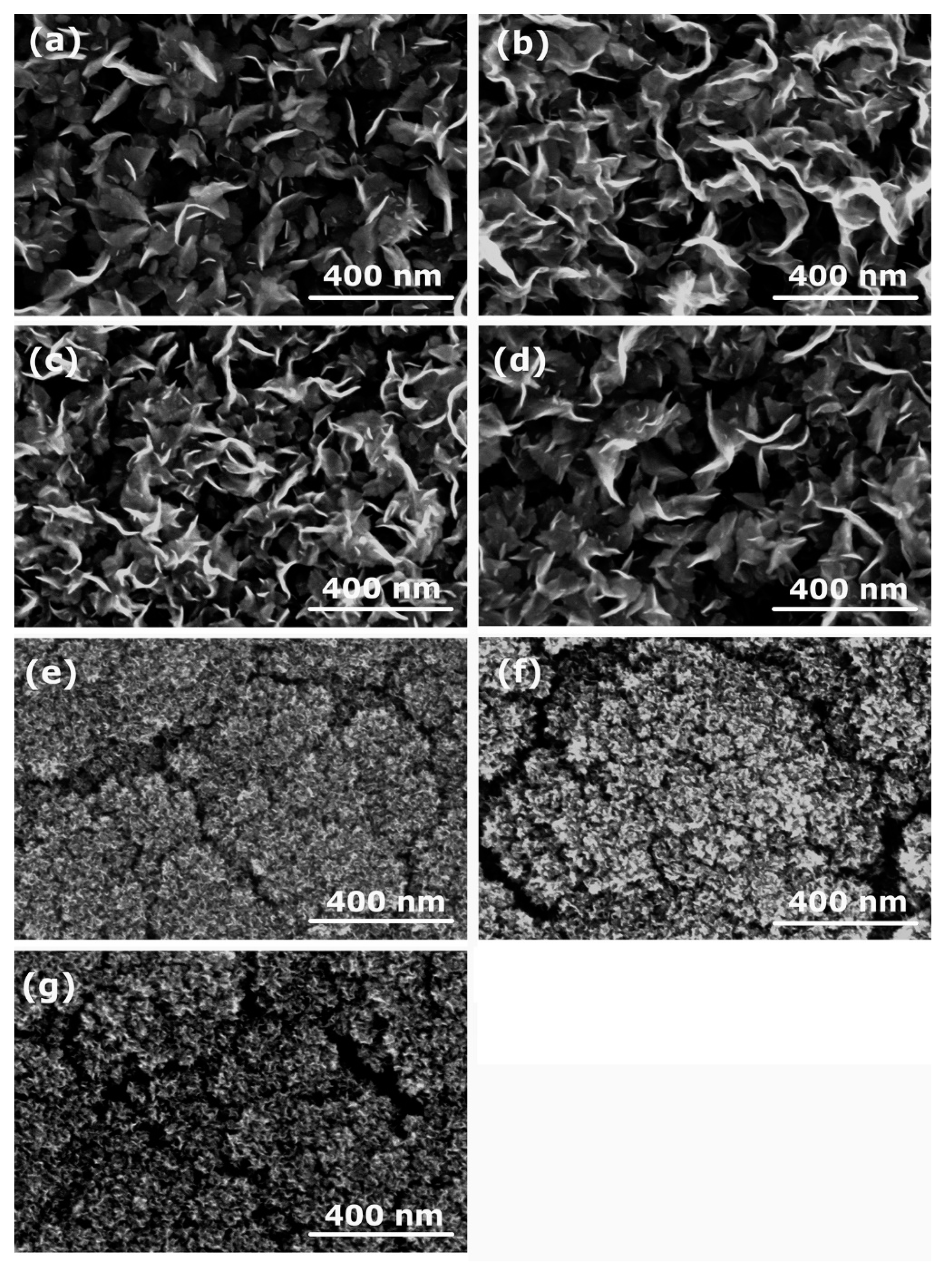 Nanomaterials 12 00246 g004