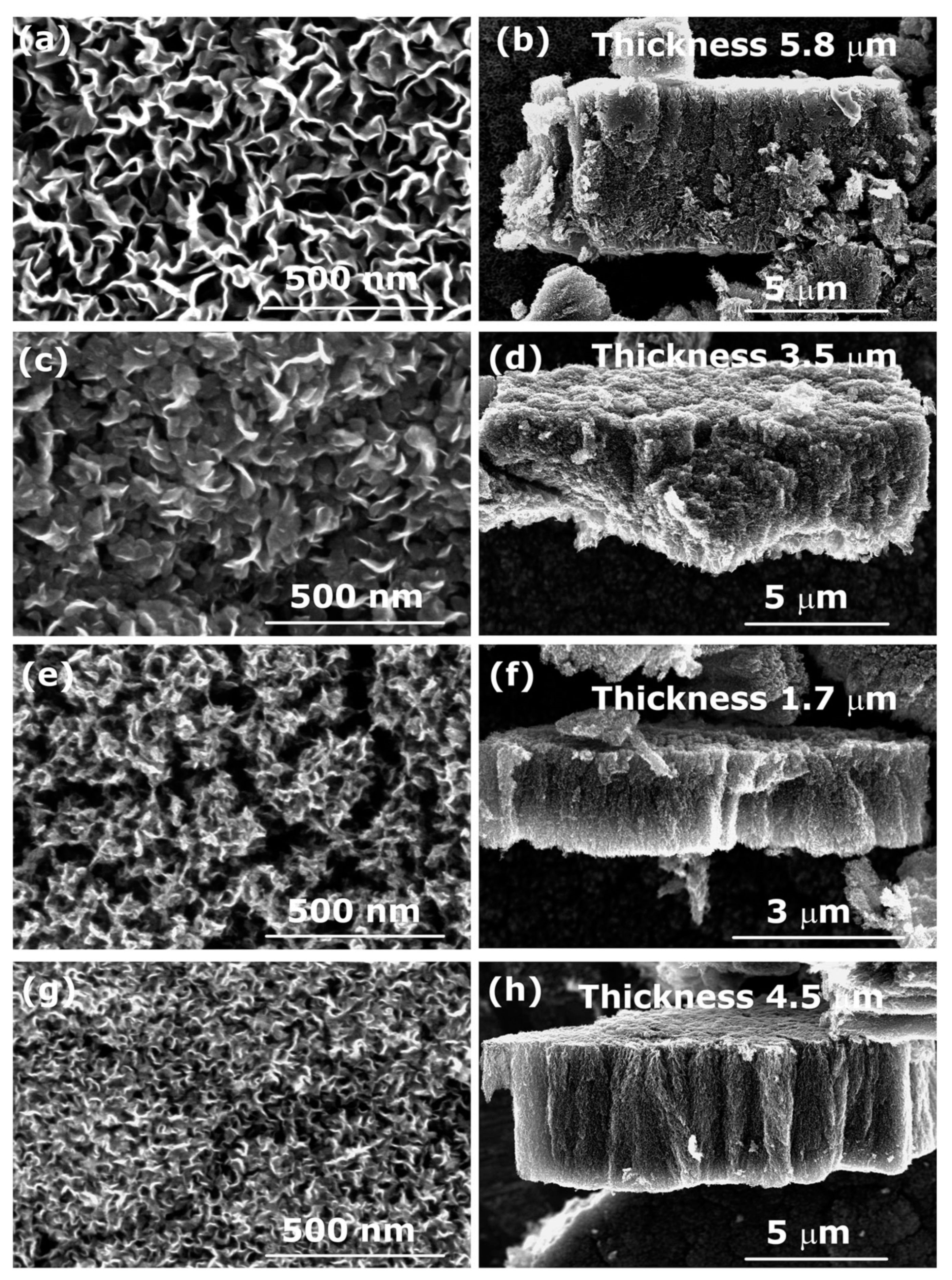 Nanomaterials 12 00246 g008