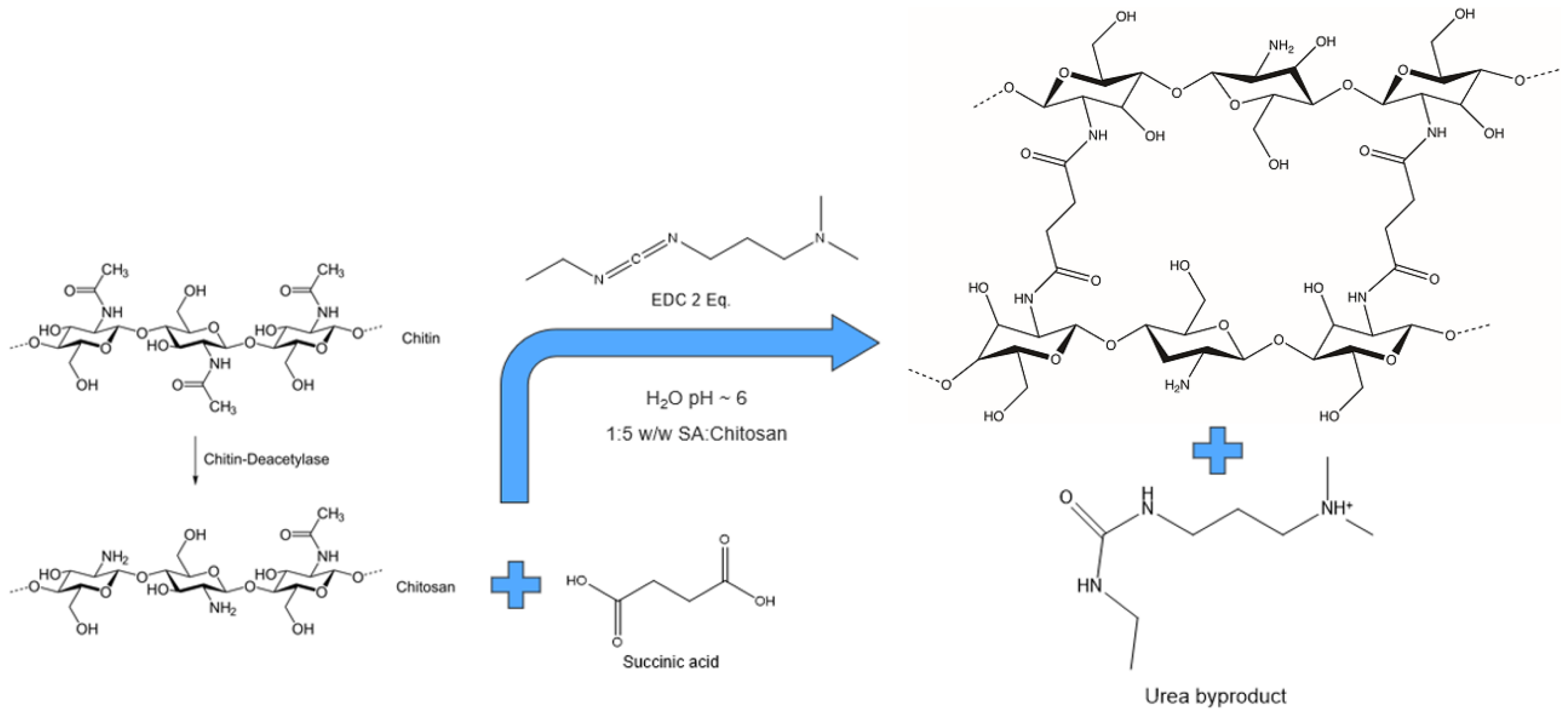 Nanomaterials 12 00254 g002