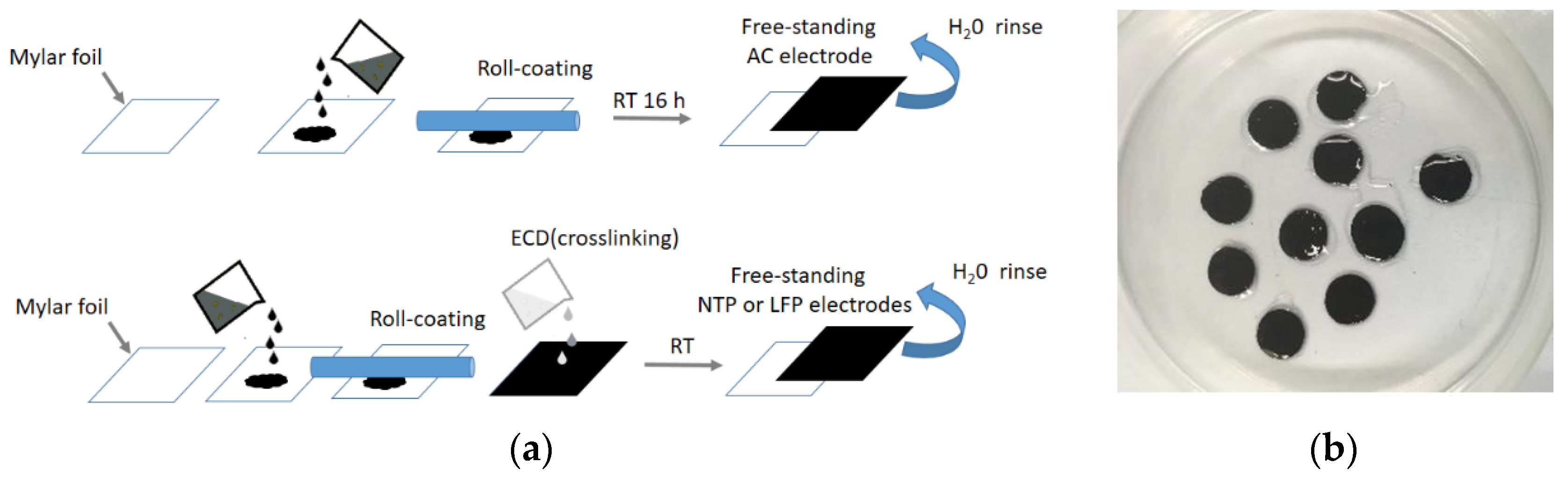 Nanomaterials 12 00254 g003