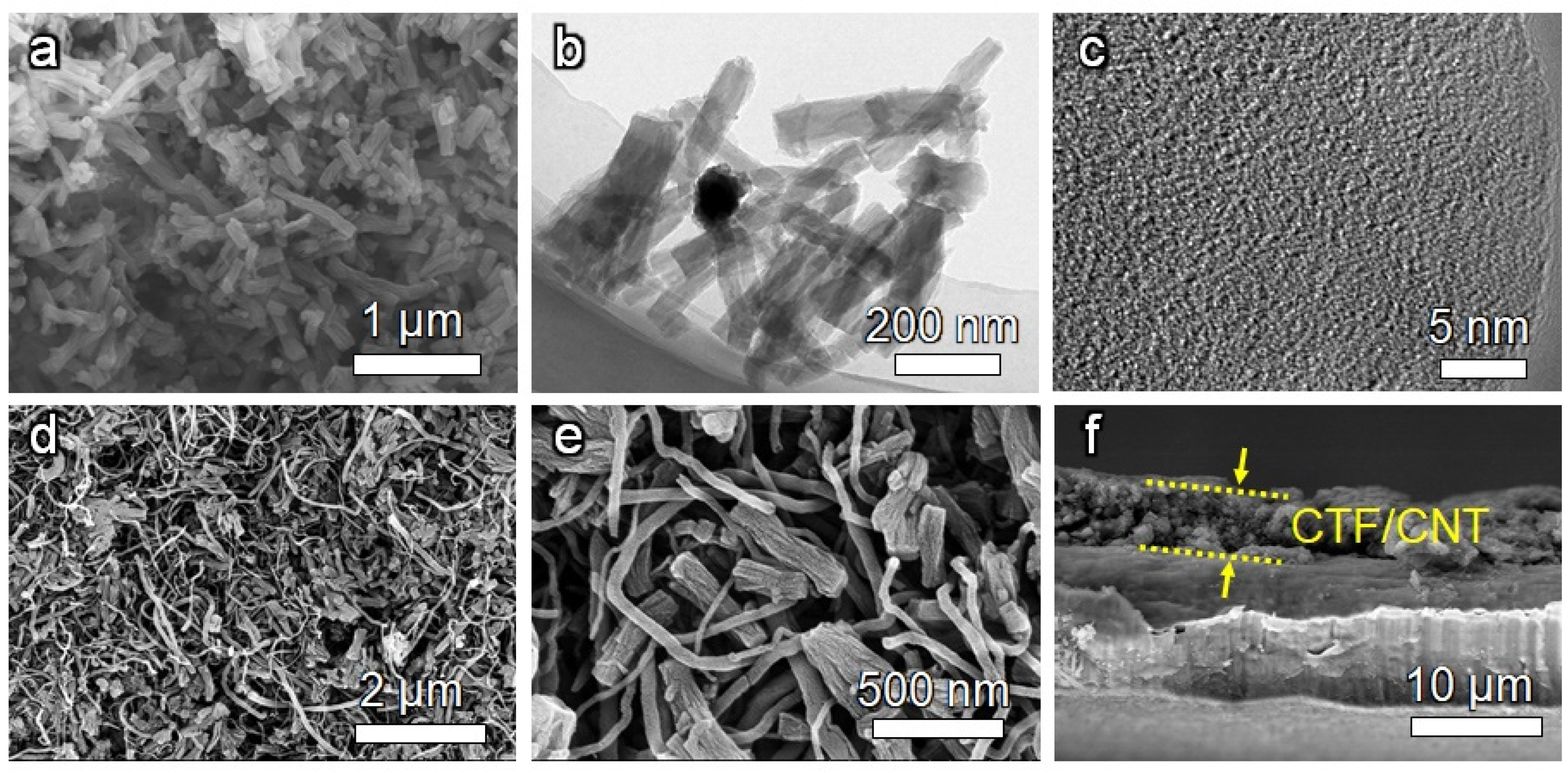 Nanomaterials 12 00255 g003