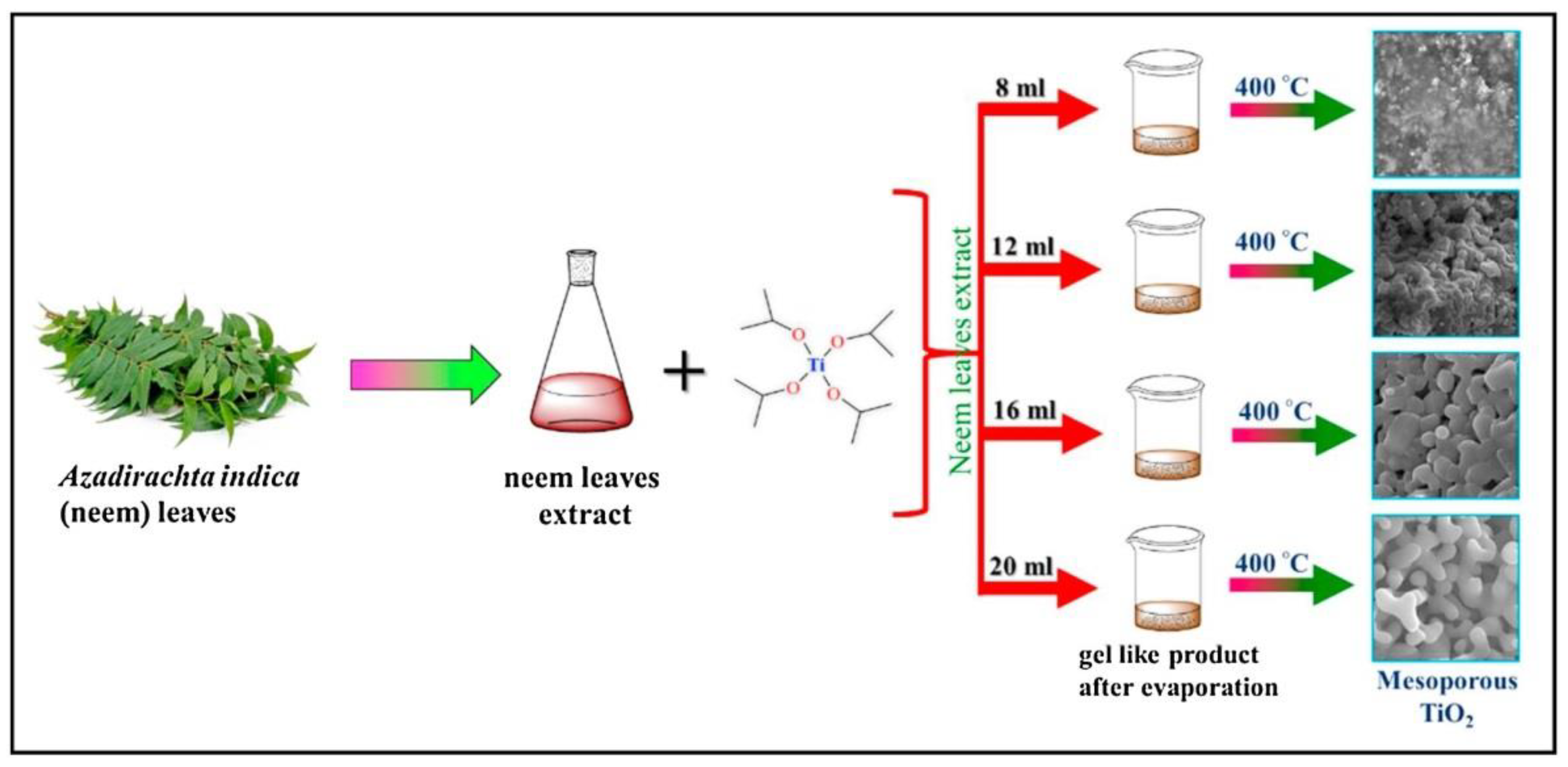 Nanomaterials 12 00263 g006