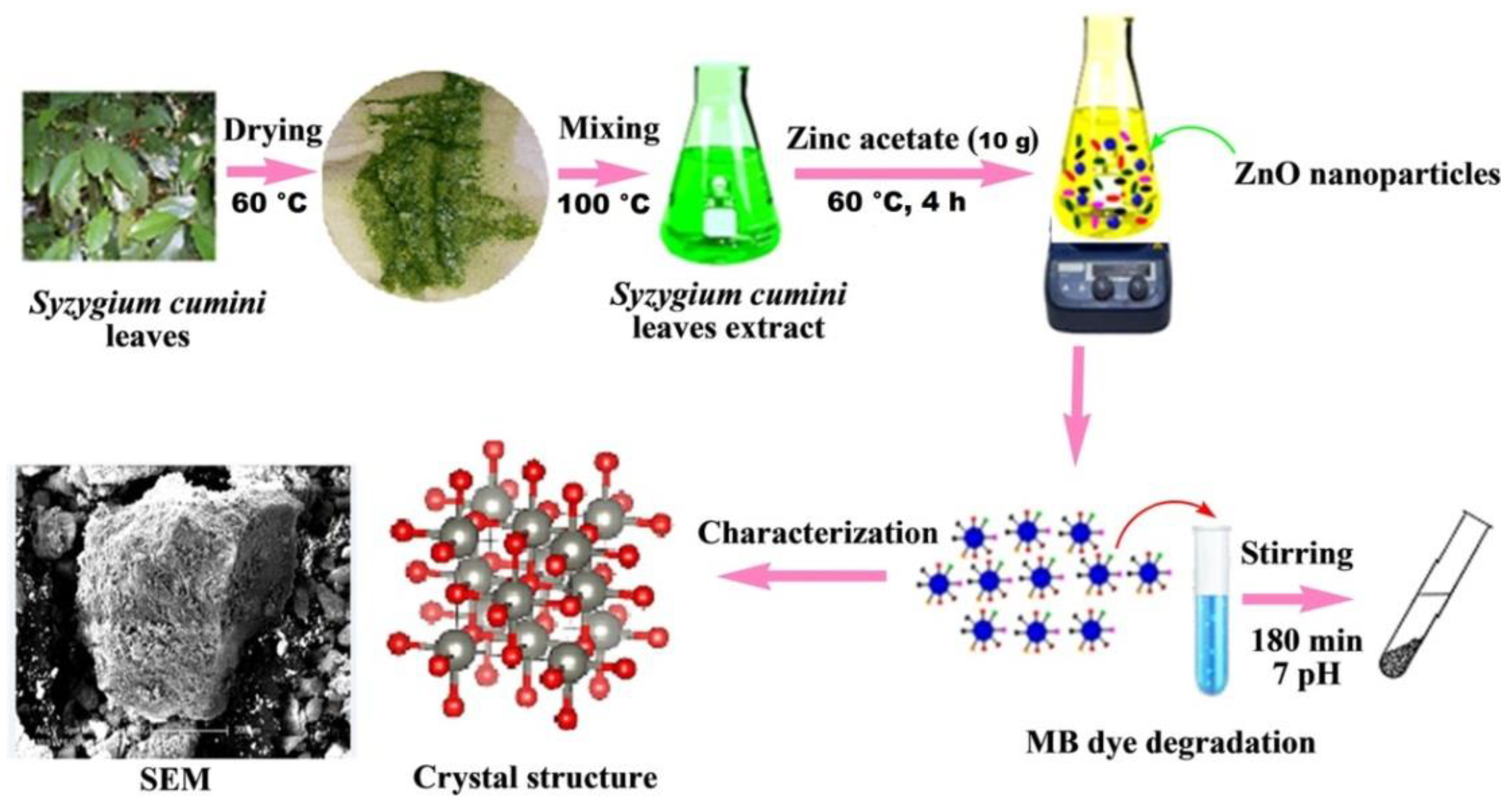 Nanomaterials 12 00263 g007