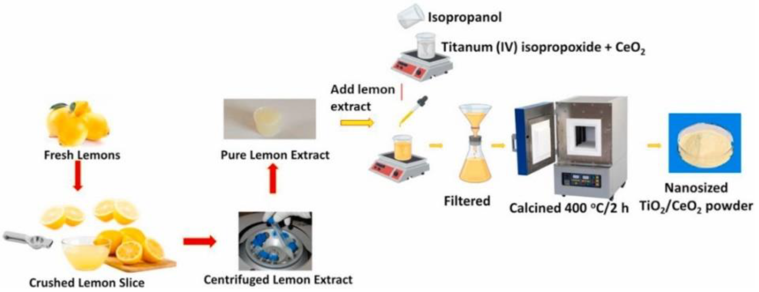 Nanomaterials 12 00263 g010