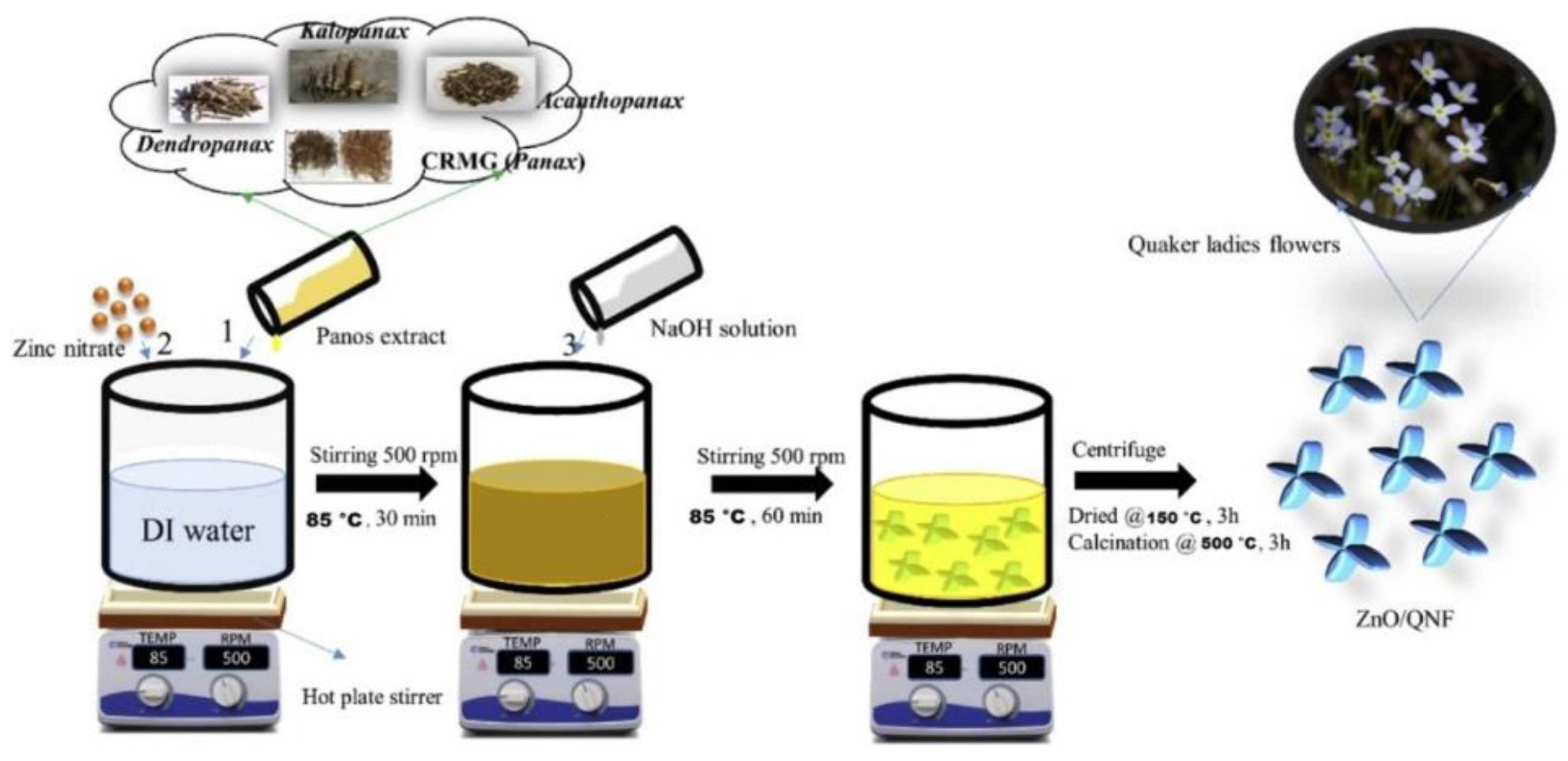 Nanomaterials 12 00263 g011