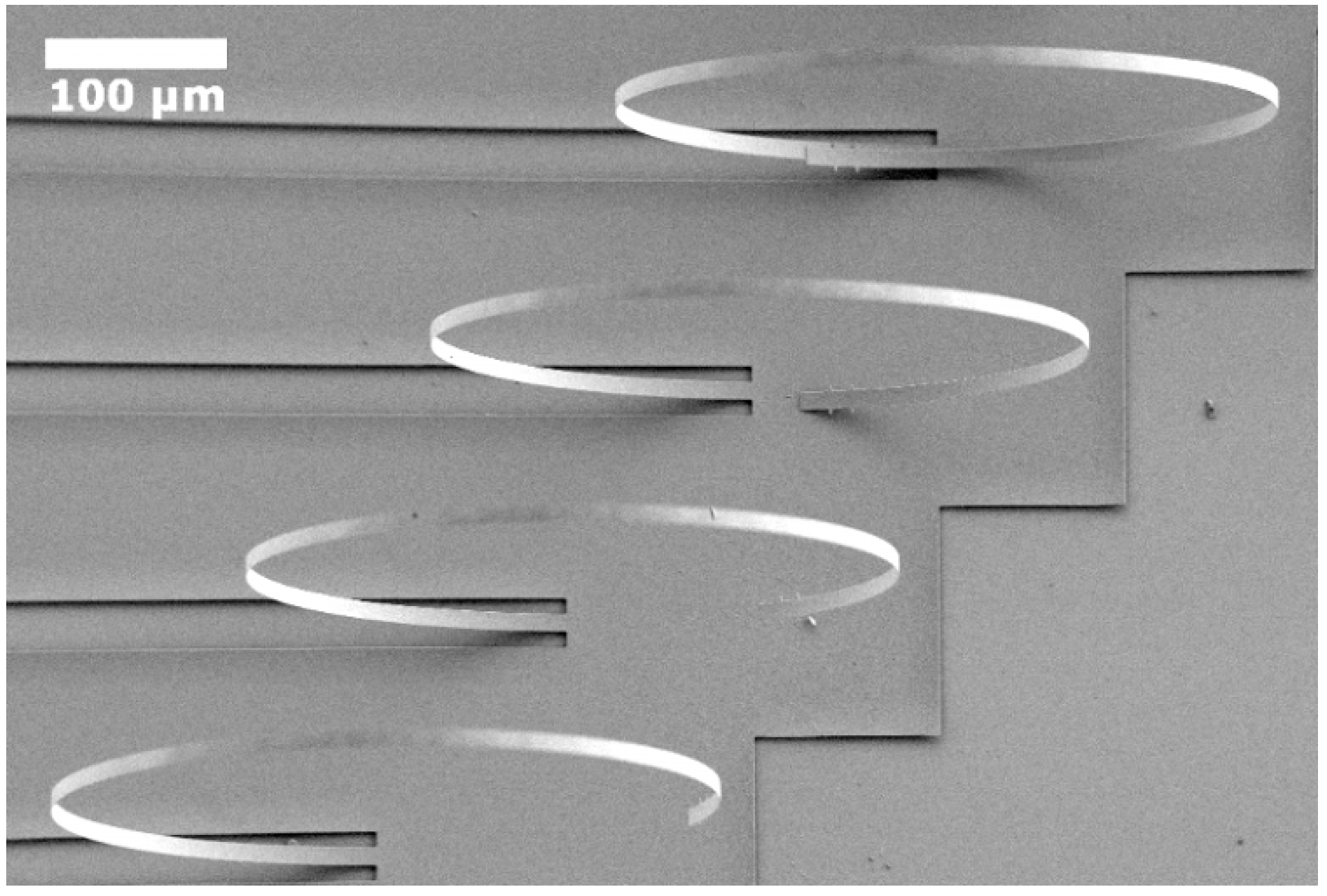 Nanomaterials 12 00265 g010