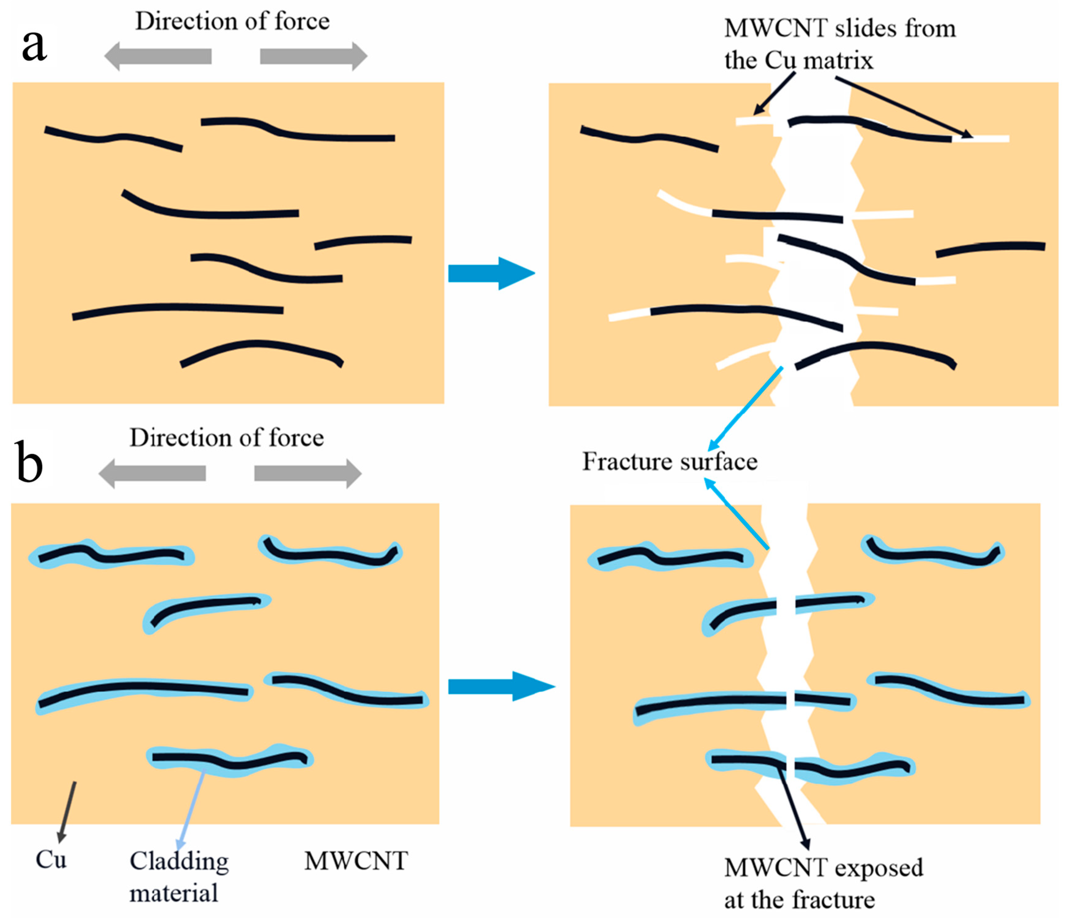 Nanomaterials 12 00266 g009 Nanomaterials 12 00266 g009