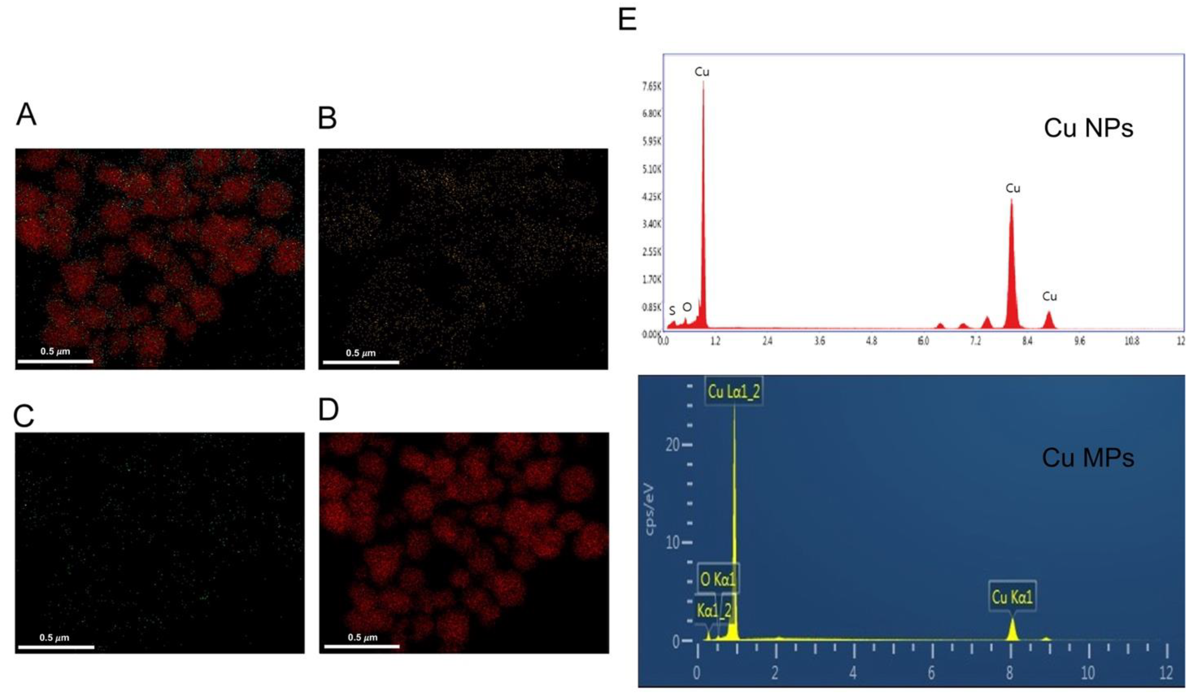 Nanomaterials 12 00268 g004 Nanomaterials 12 00268 g004