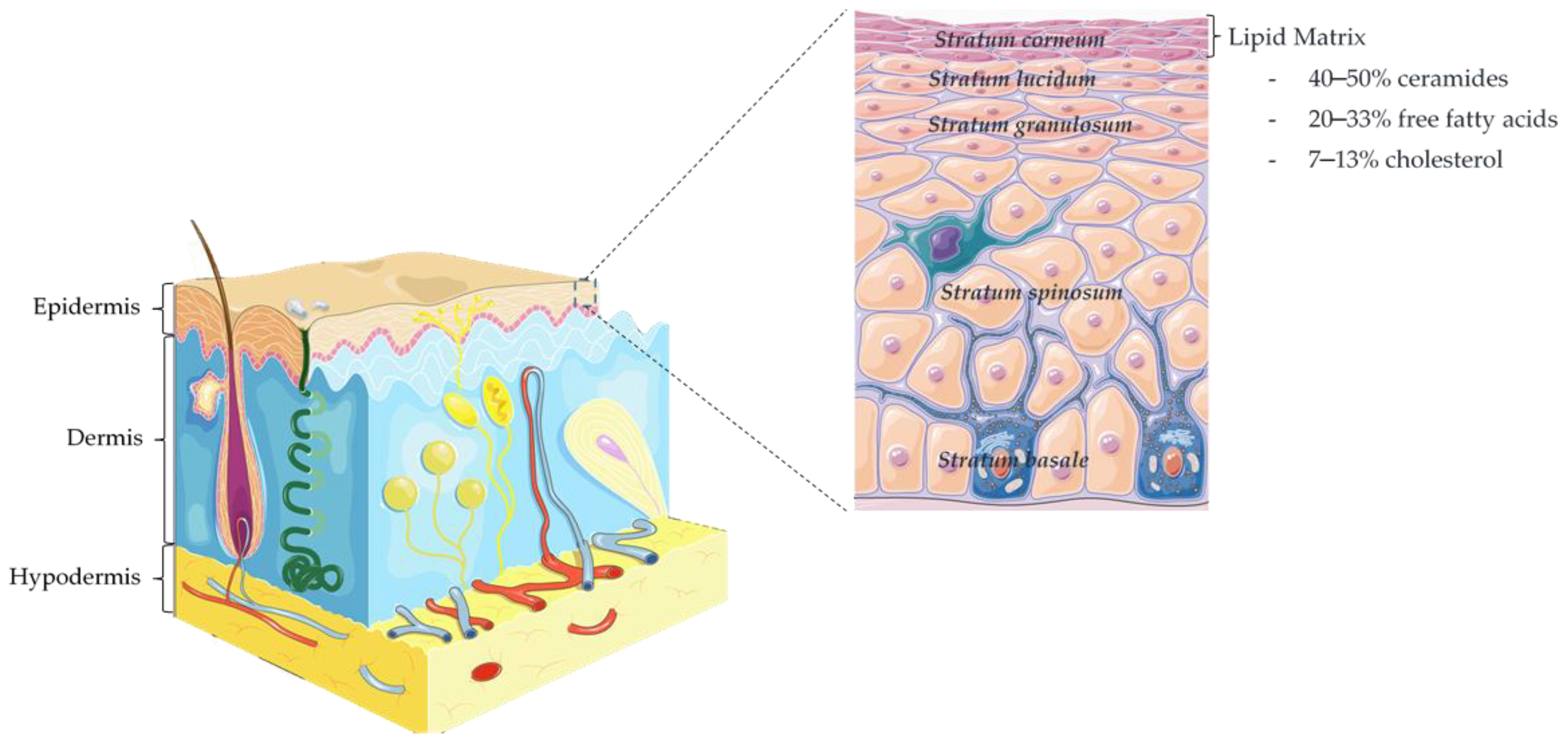Nanomaterials 12 00275 g001 Nanomaterials 12 00275 g001