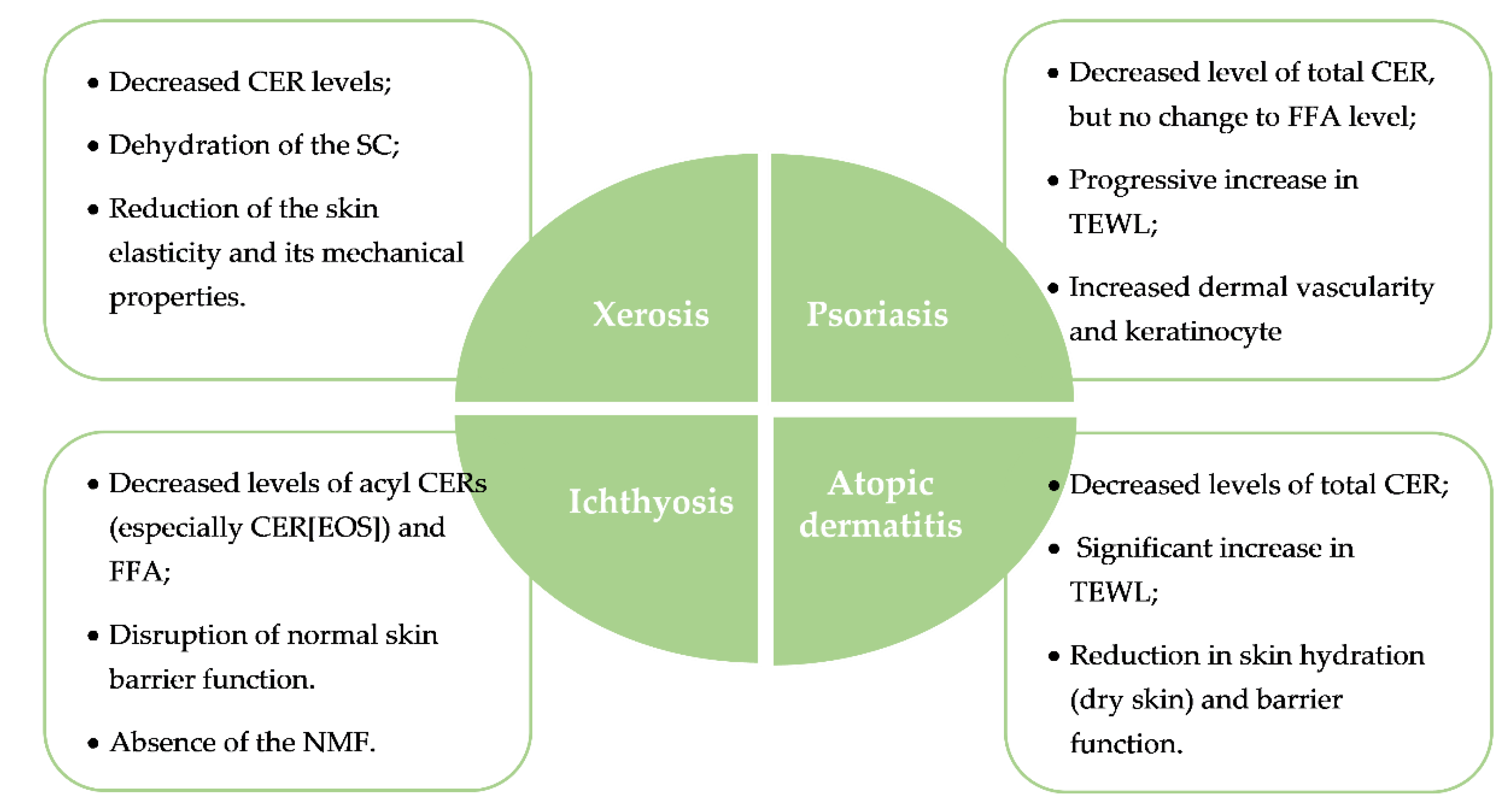 Nanomaterials 12 00275 g002 Nanomaterials 12 00275 g002