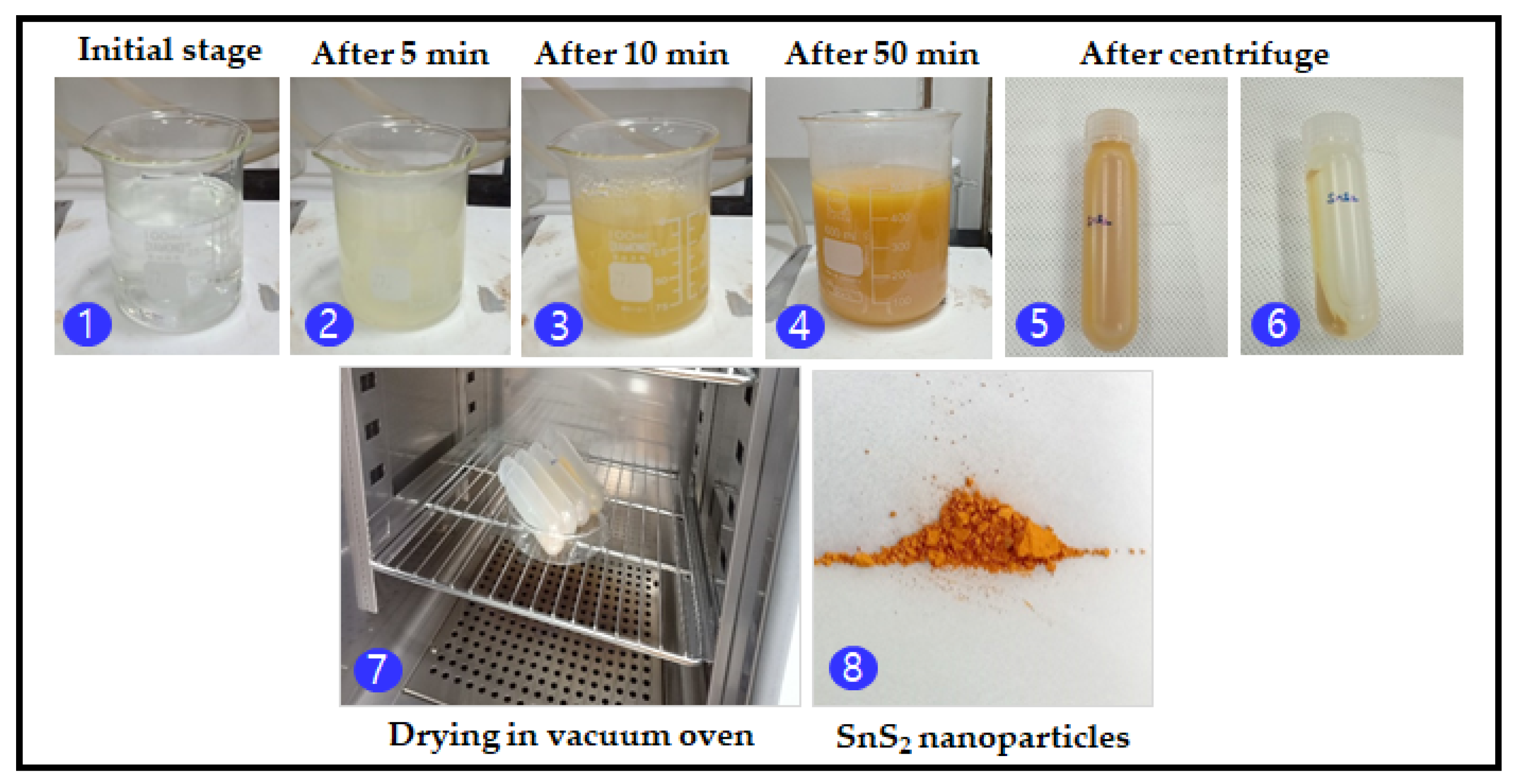 Nanomaterials 12 00282 g001