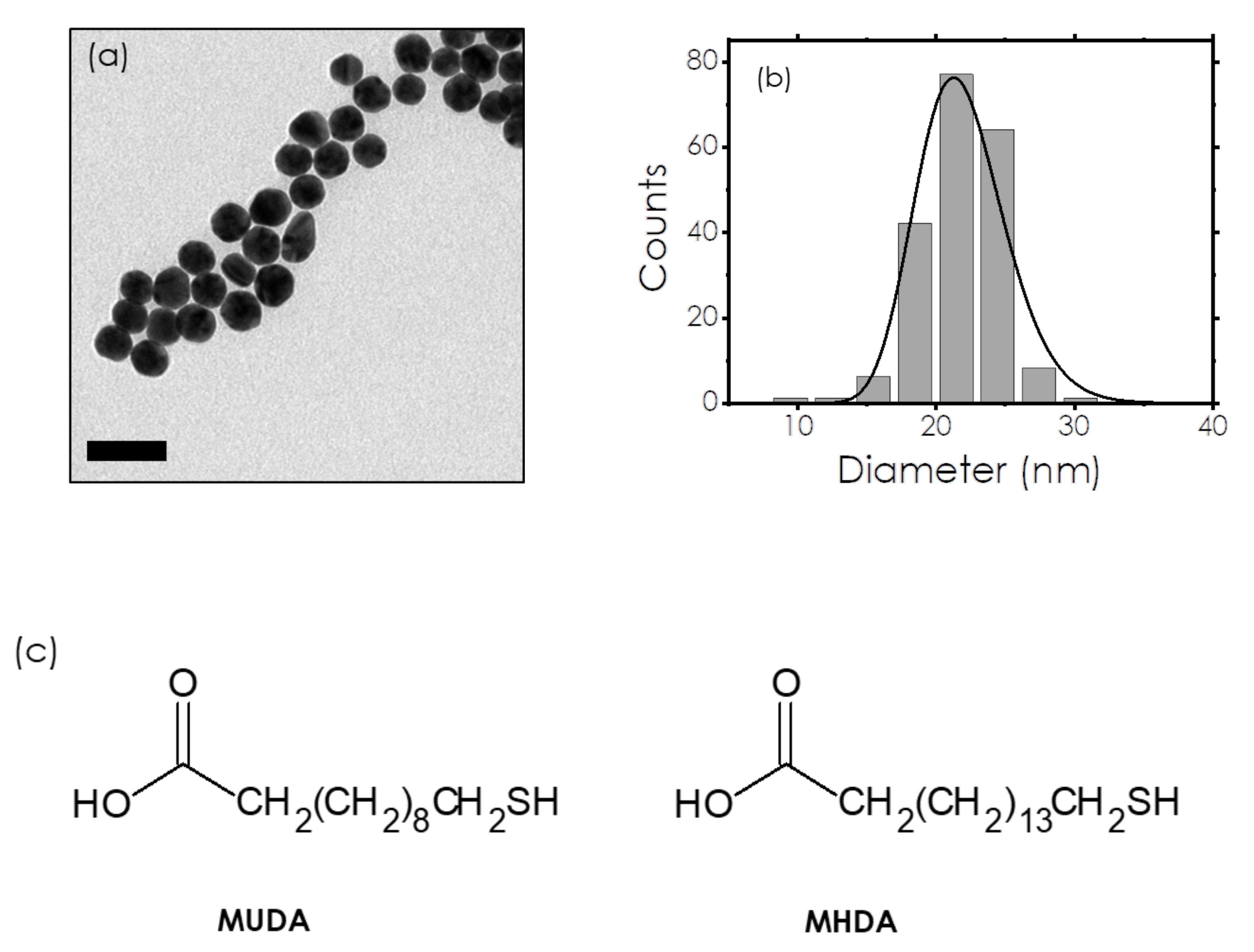 Nanomaterials 12 00292 g001 Nanomaterials 12 00292 g001