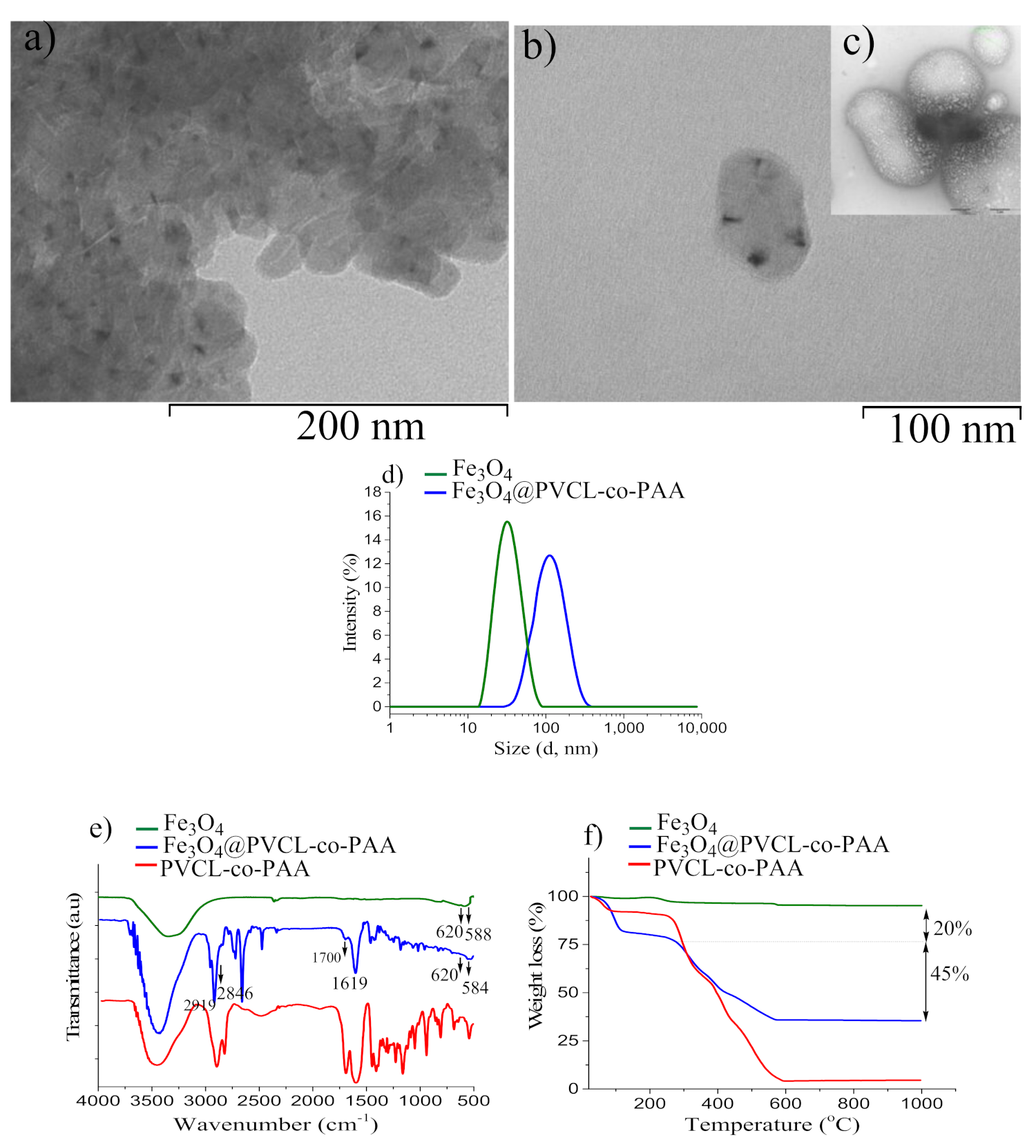 Nanomaterials 12 00303 g003