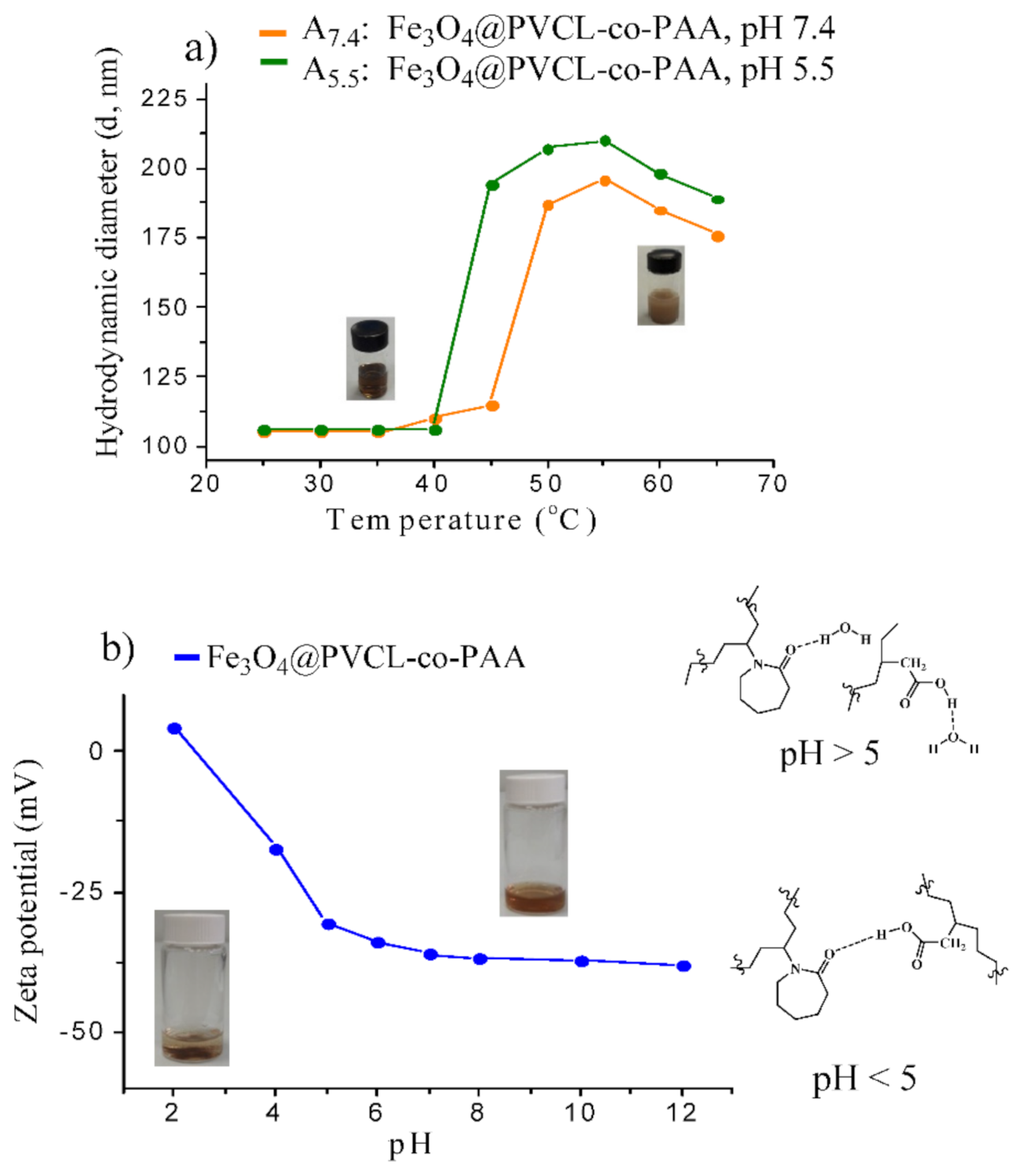 Nanomaterials 12 00303 g005