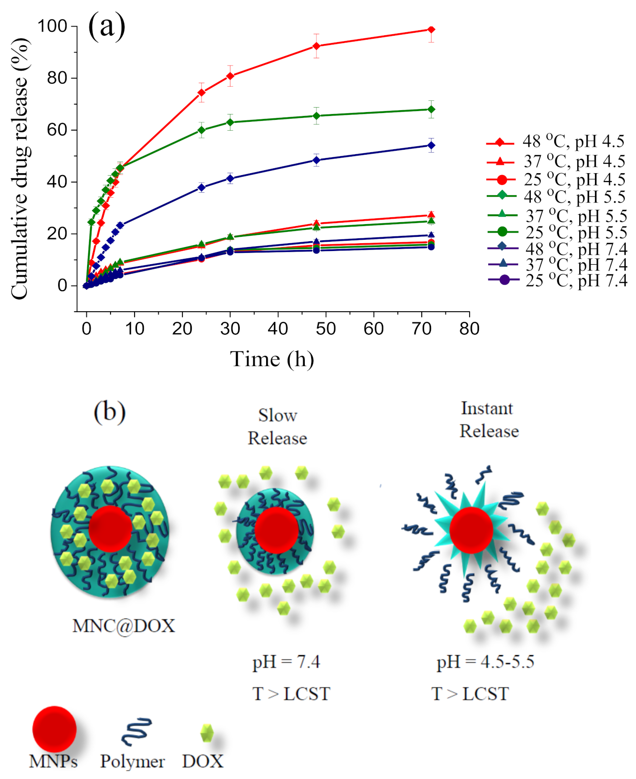 Nanomaterials 12 00303 g006