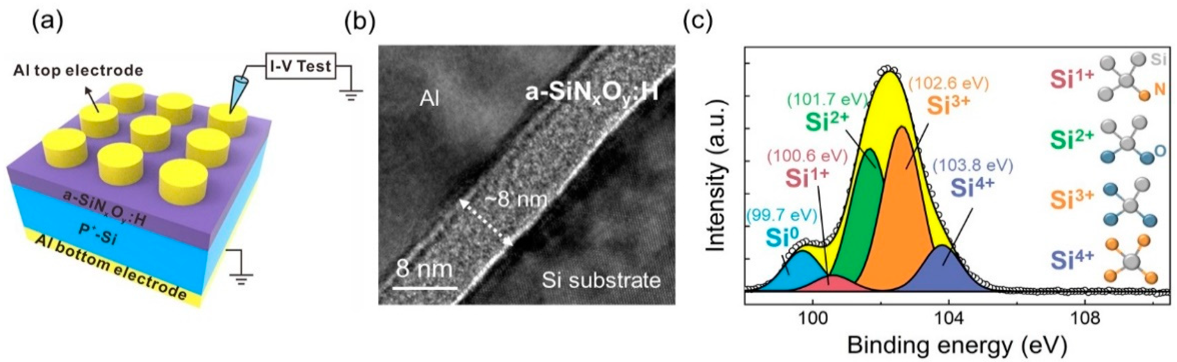 Nanomaterials 12 00311 g001