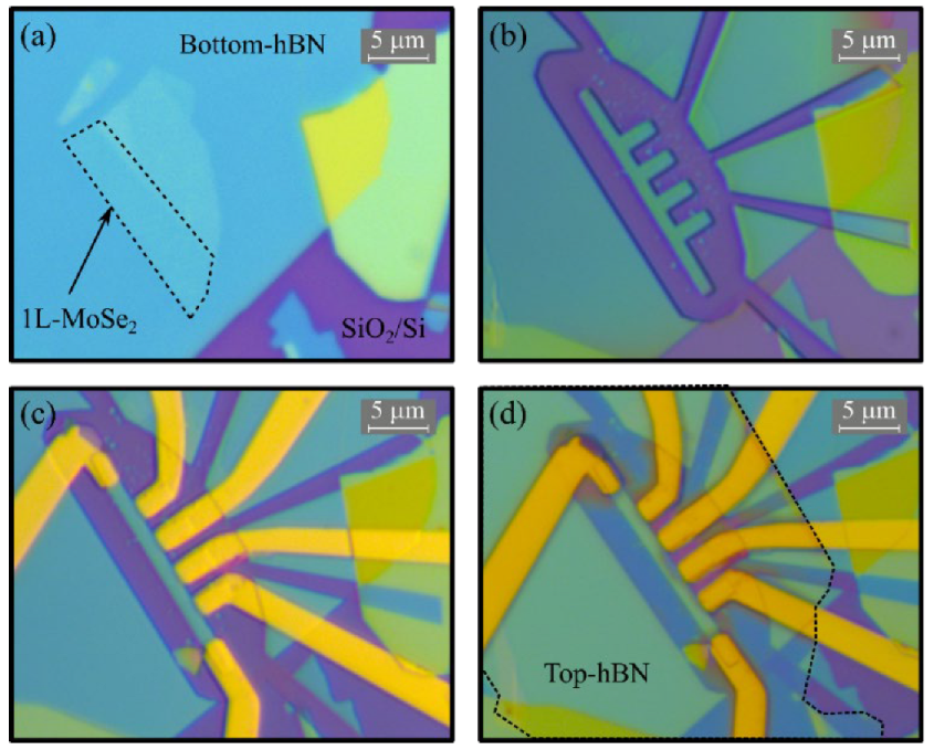 Nanomaterials 12 00322 g001