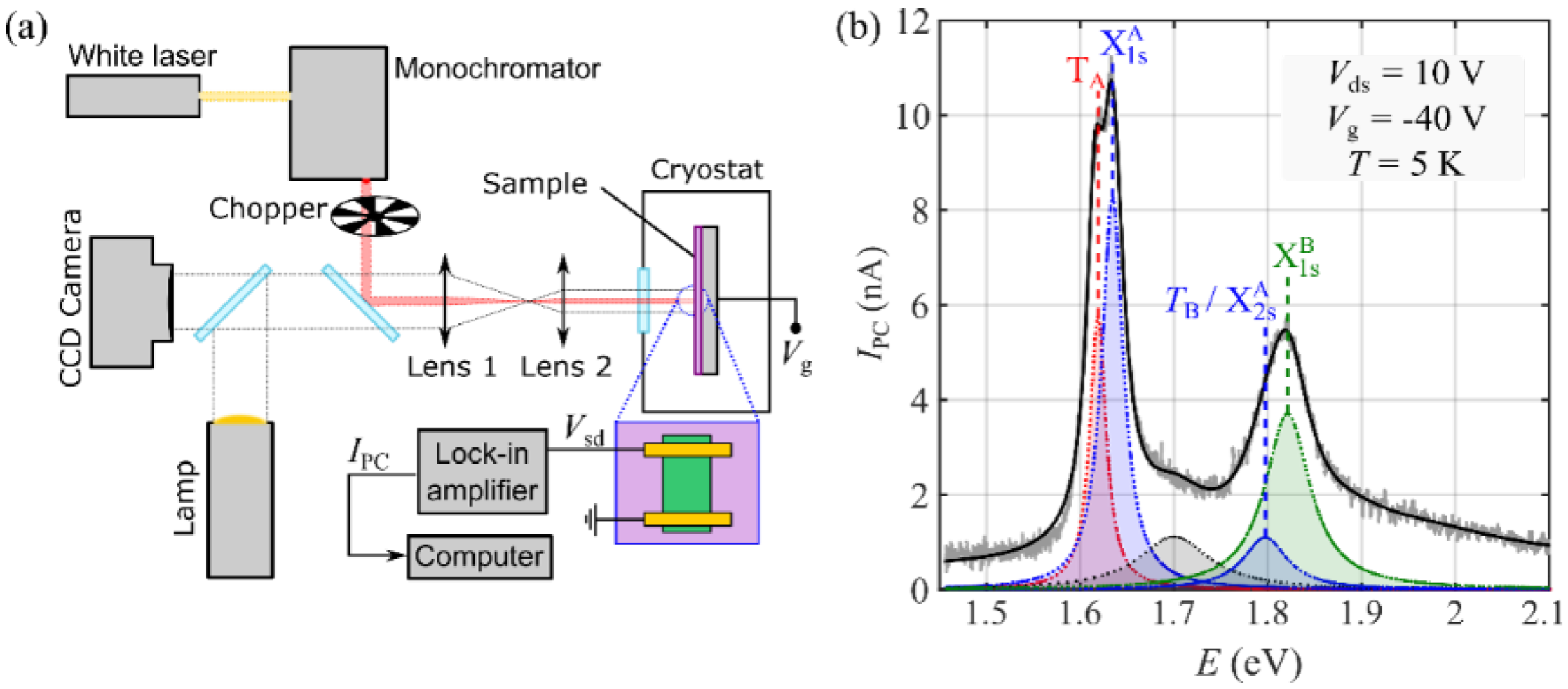 Nanomaterials 12 00322 g003