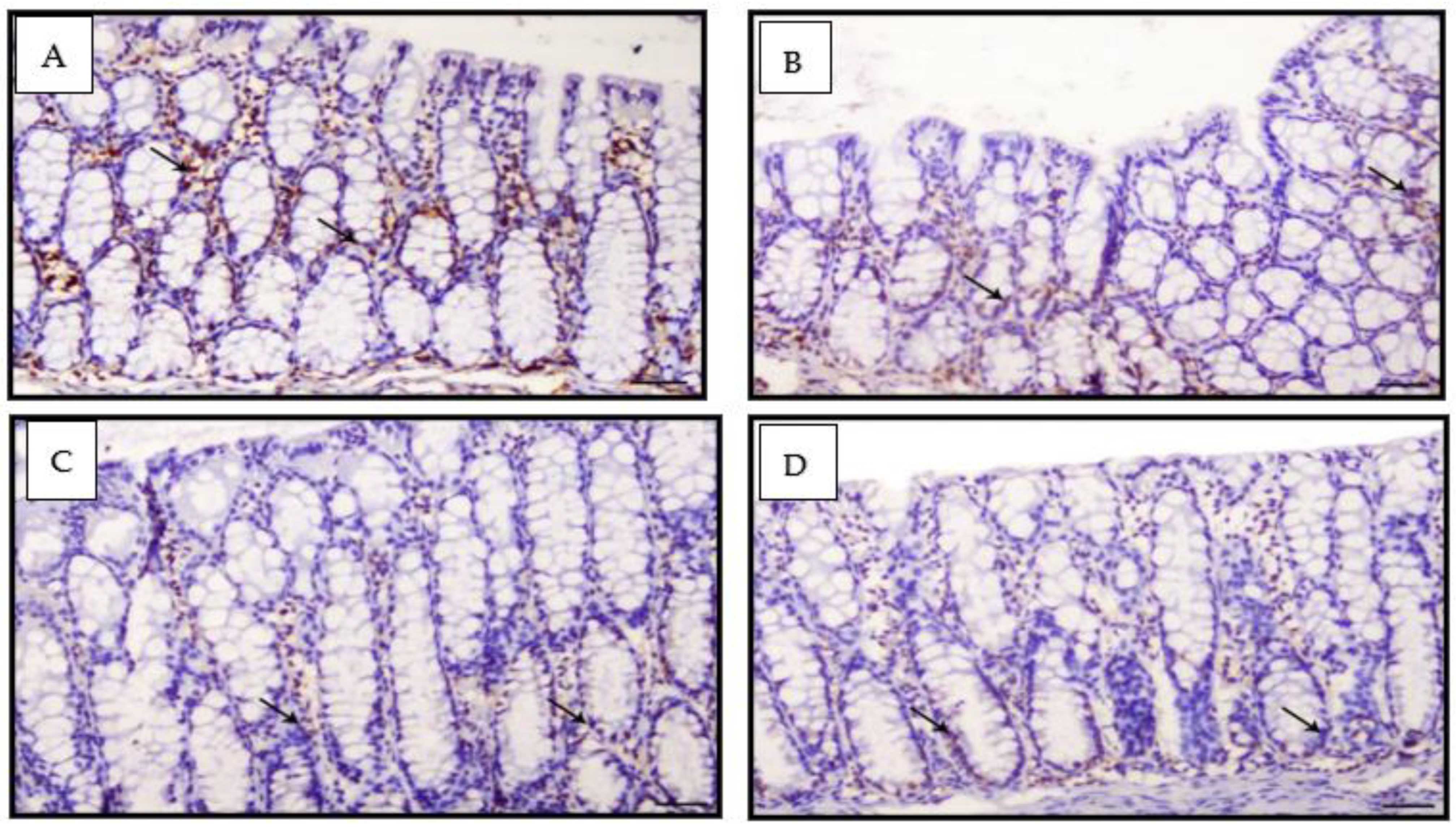Nanomaterials 12 00324 g009 Nanomaterials 12 00324 g009