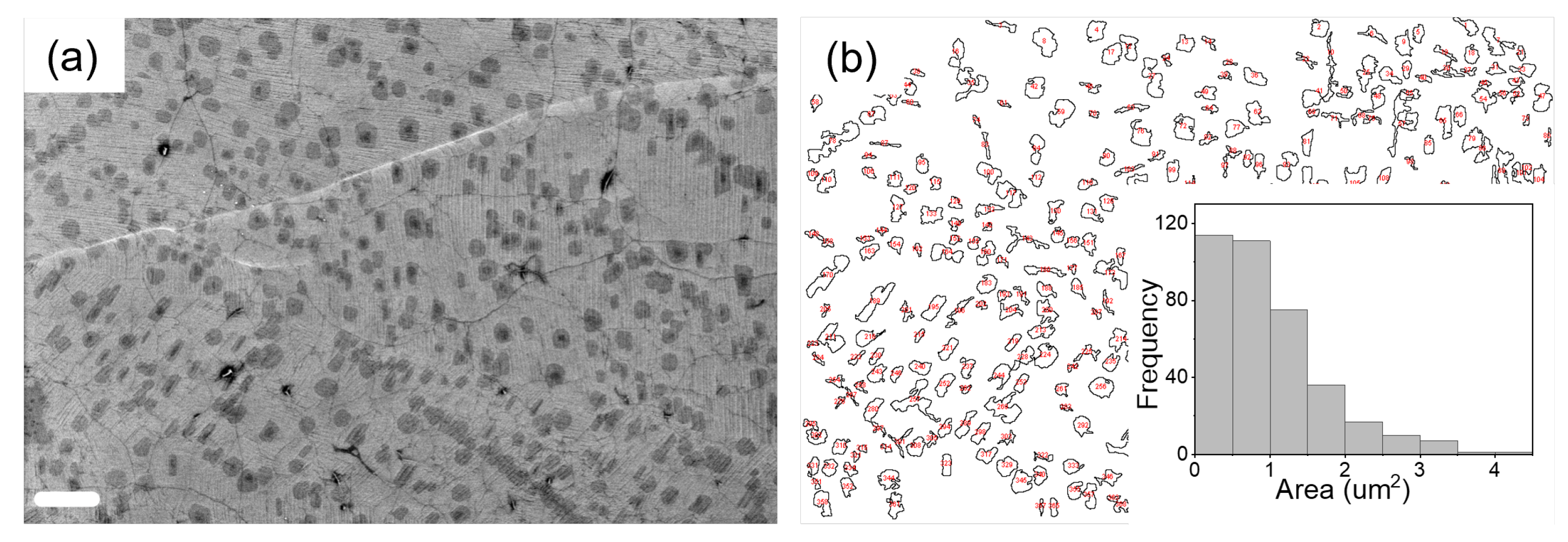 Nanomaterials 12 00331 g003