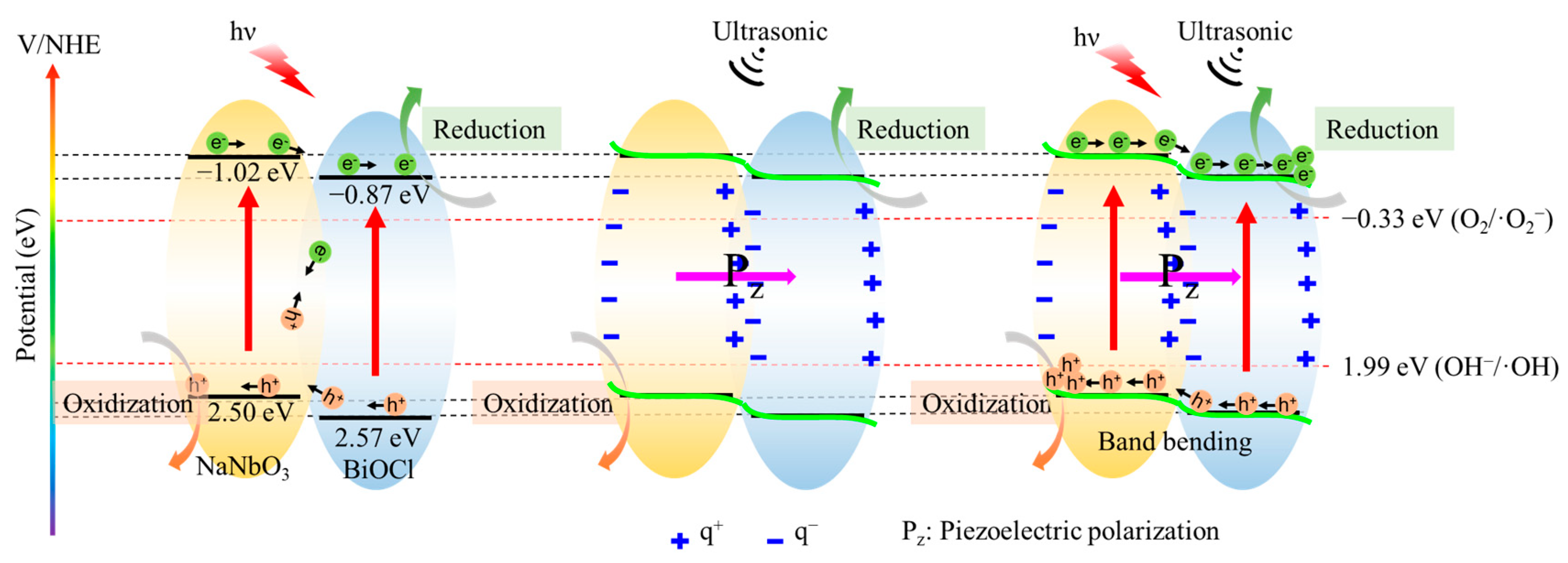 Nanomaterials 12 00353 g008