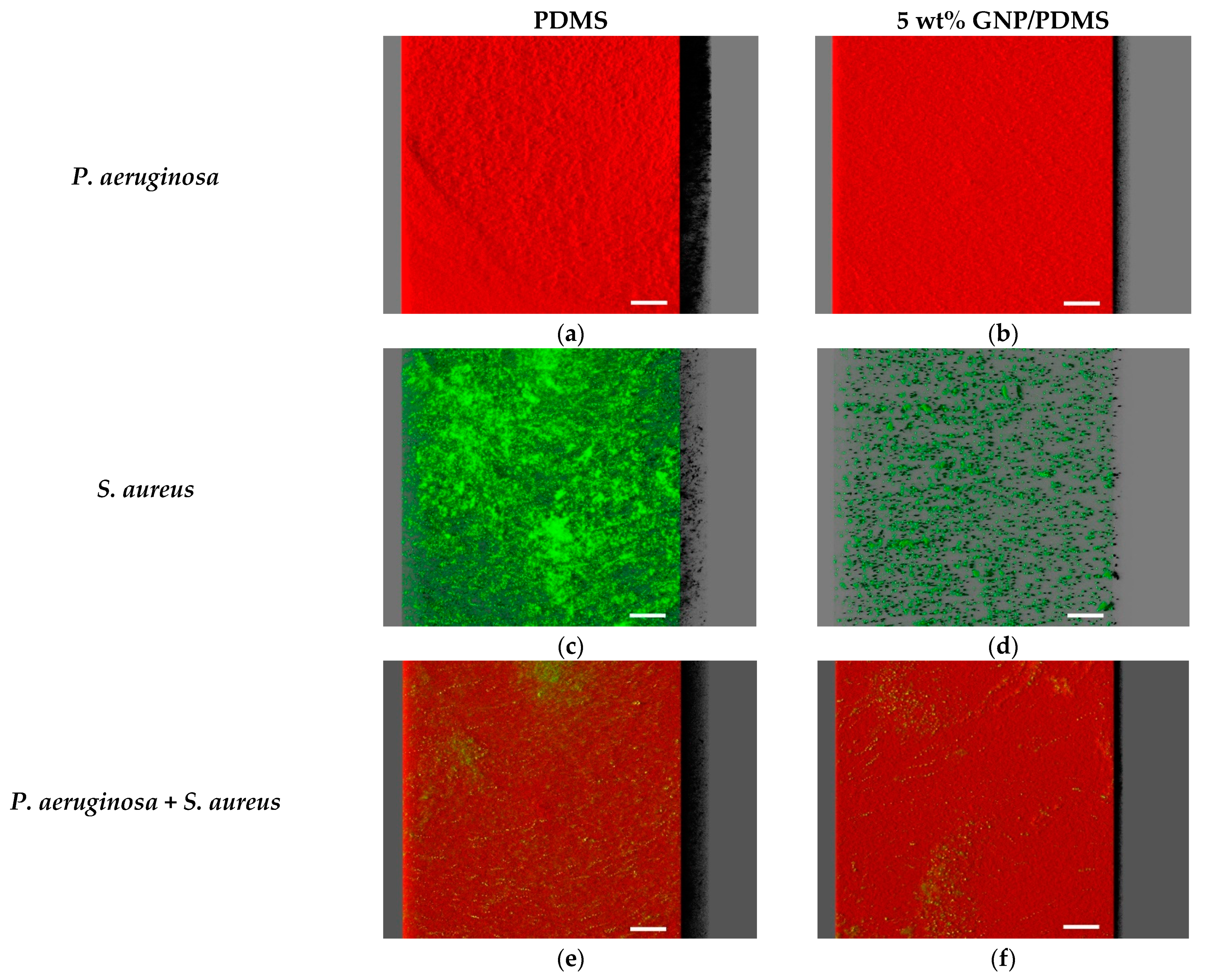 Nanomaterials 12 00355 g006 Nanomaterials 12 00355 g006