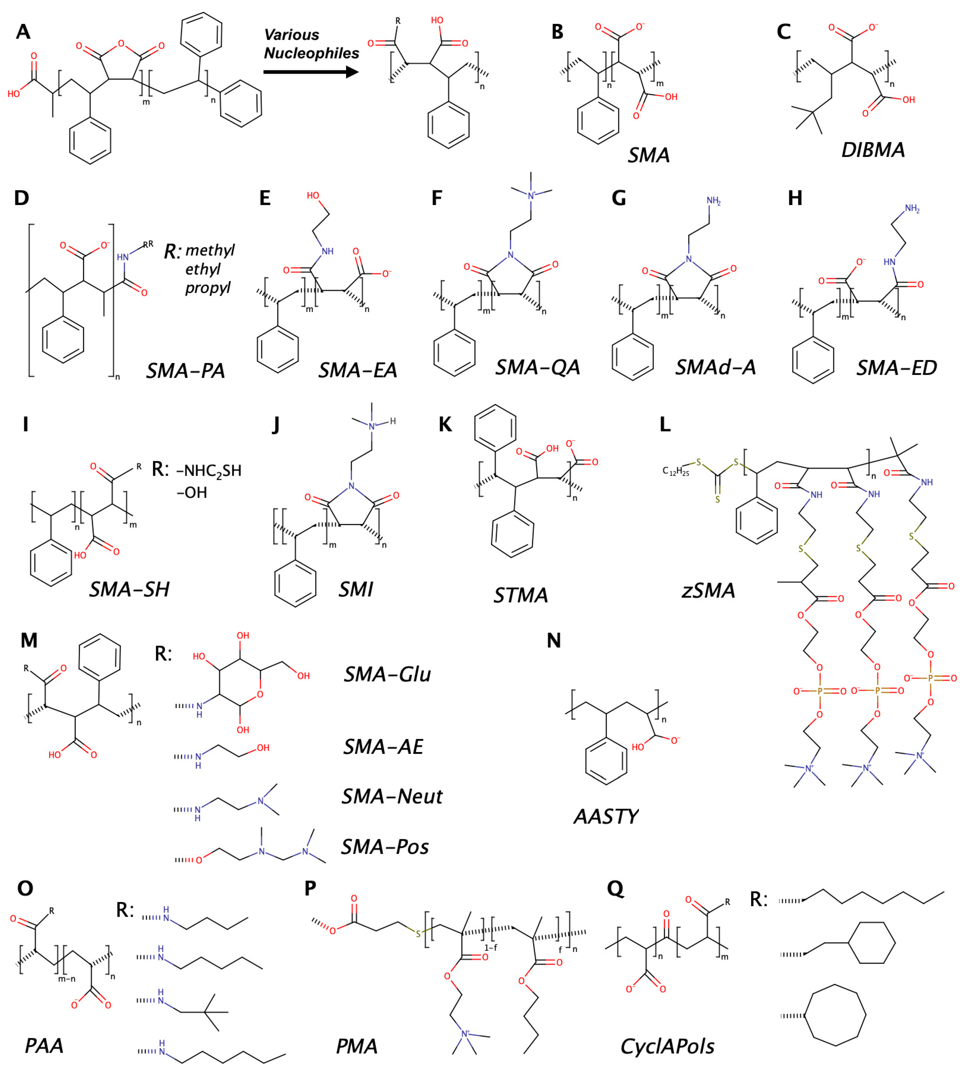 Nanomaterials 12 00361 g001