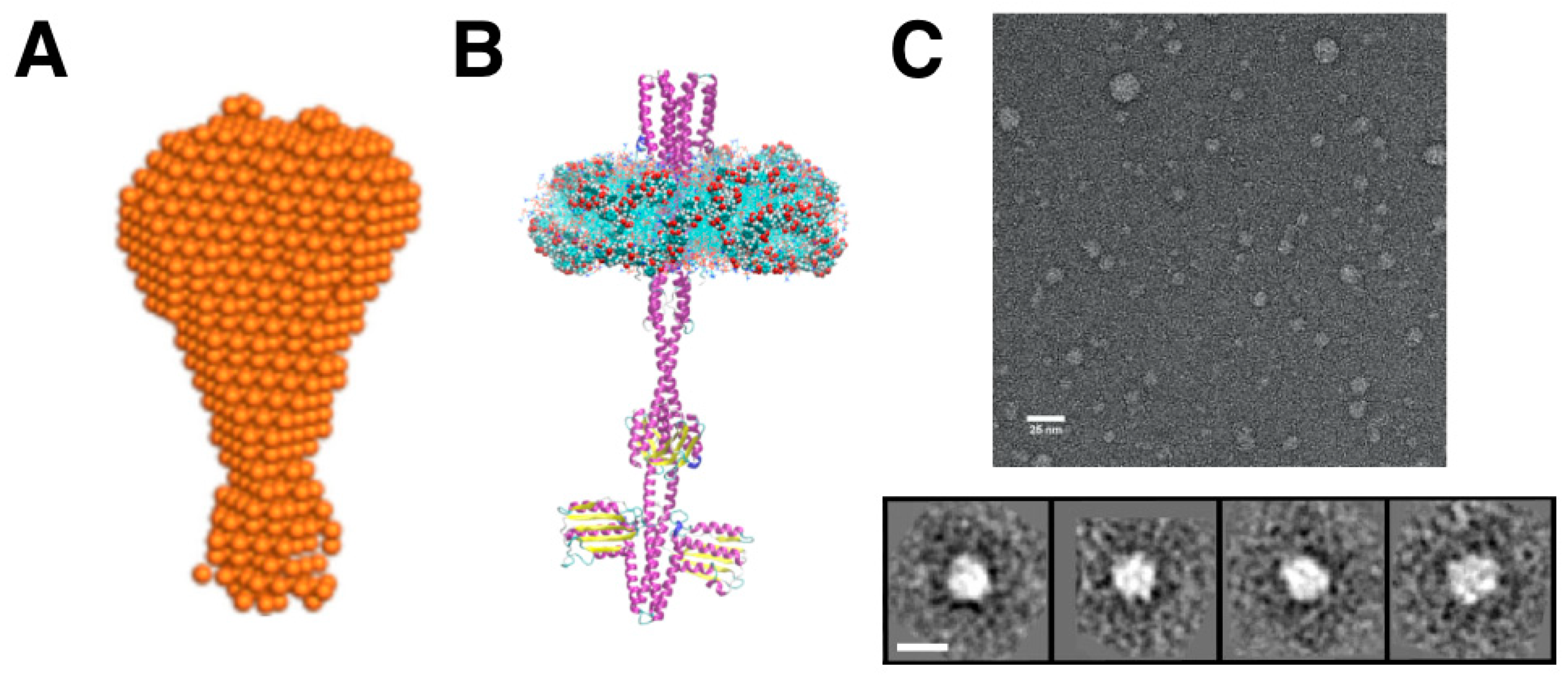 Nanomaterials 12 00361 g004