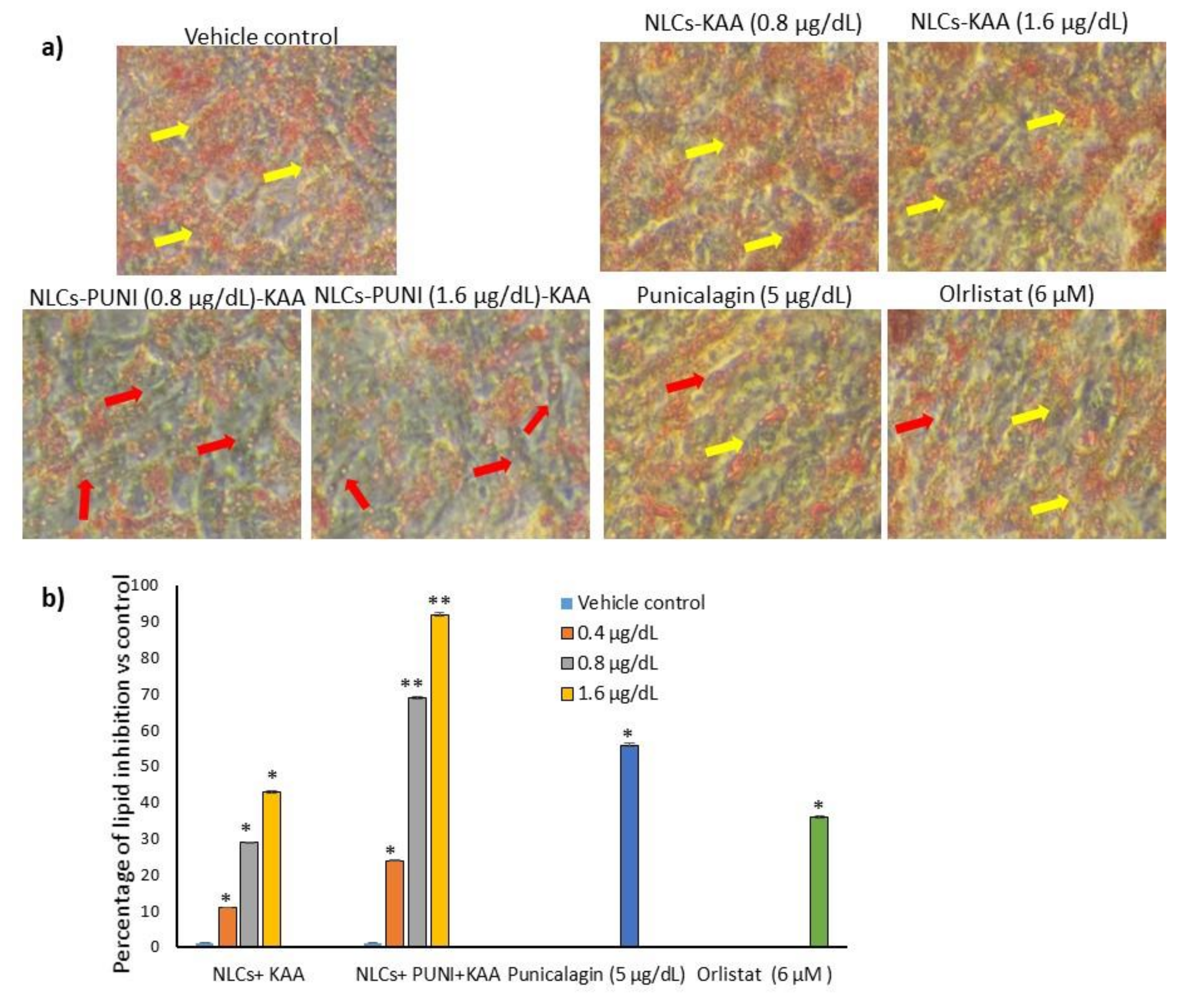 Nanomaterials 12 00368 g003
