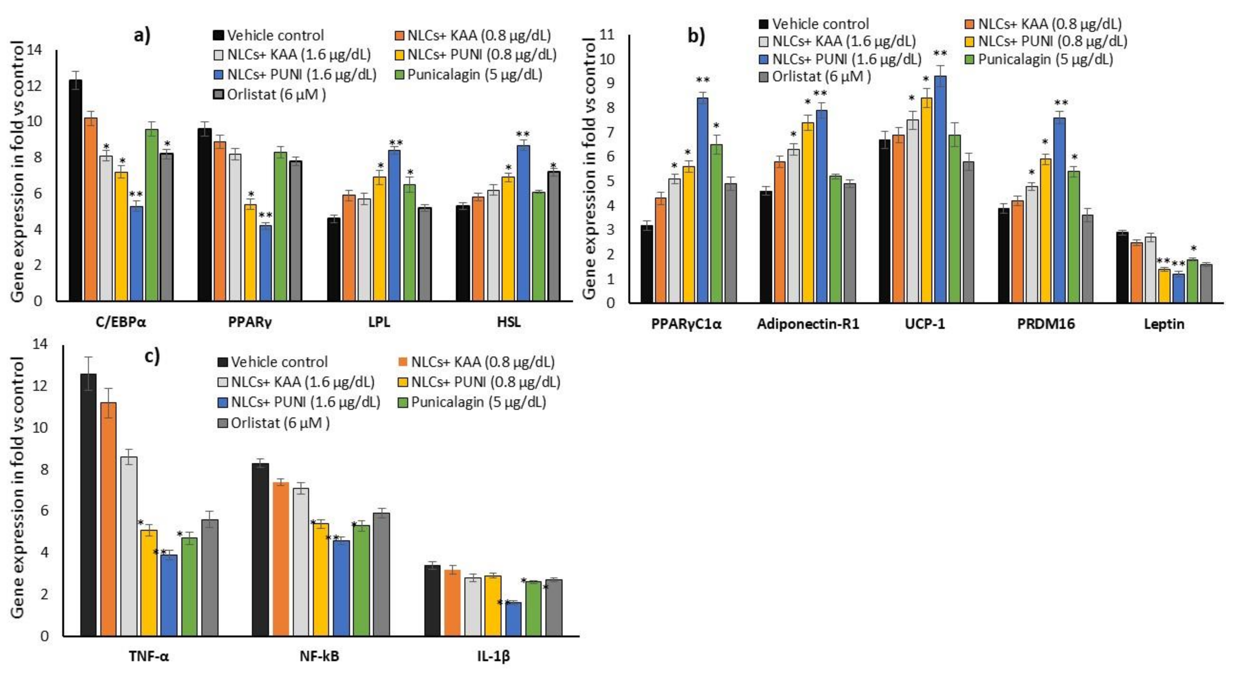 Nanomaterials 12 00368 g008