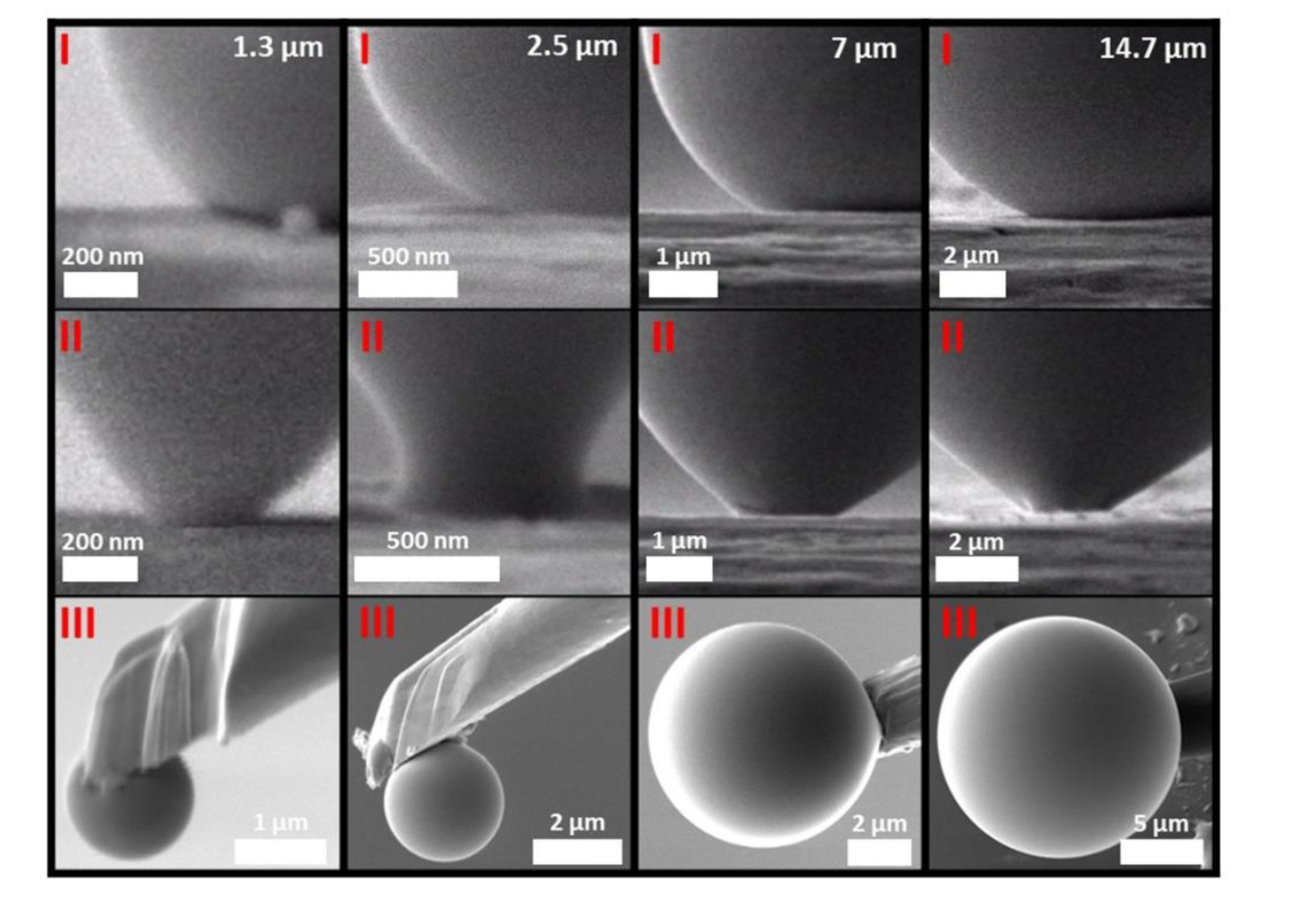 Nanomaterials 12 00369 g001