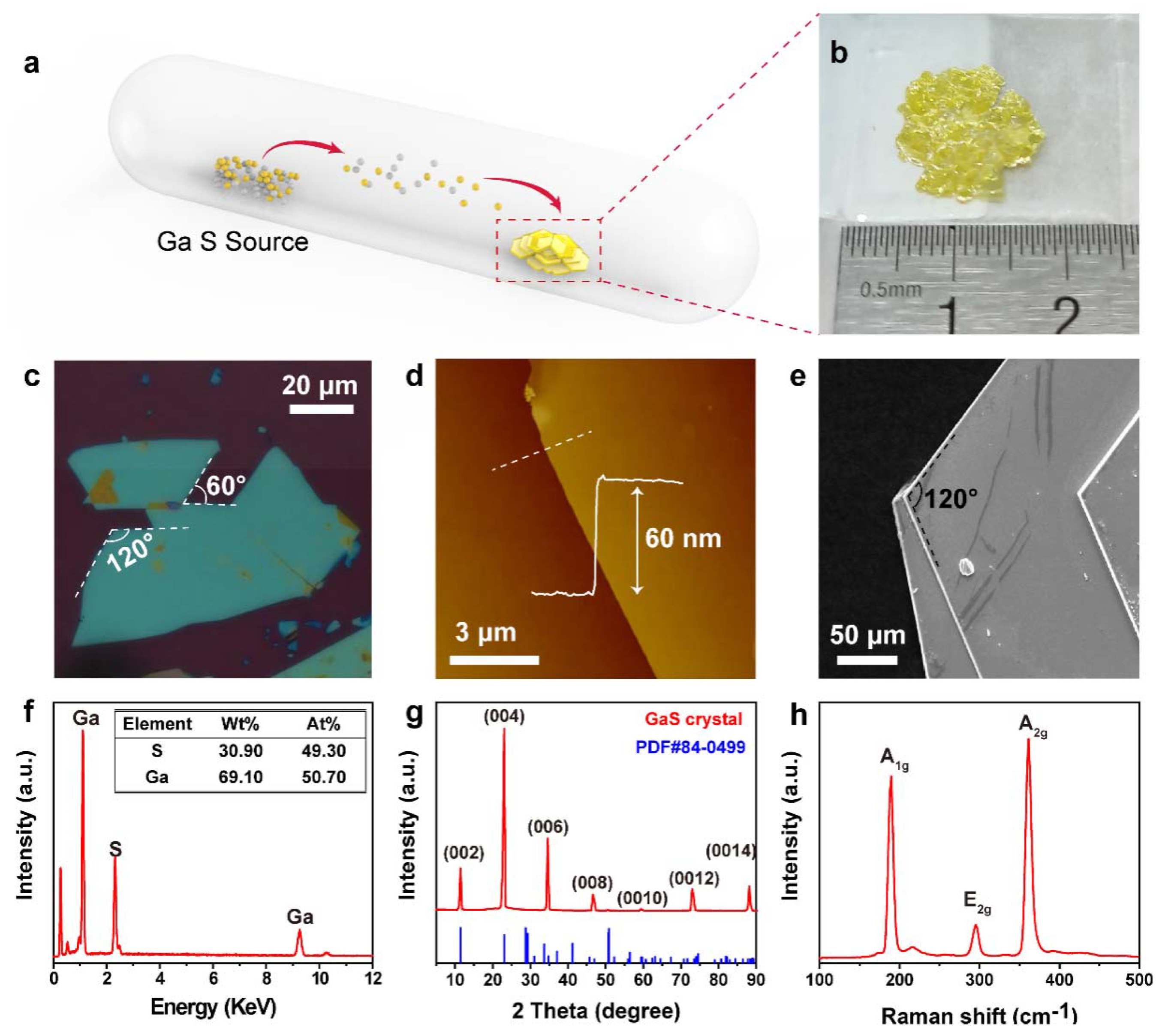 Nanomaterials 12 00378 g001